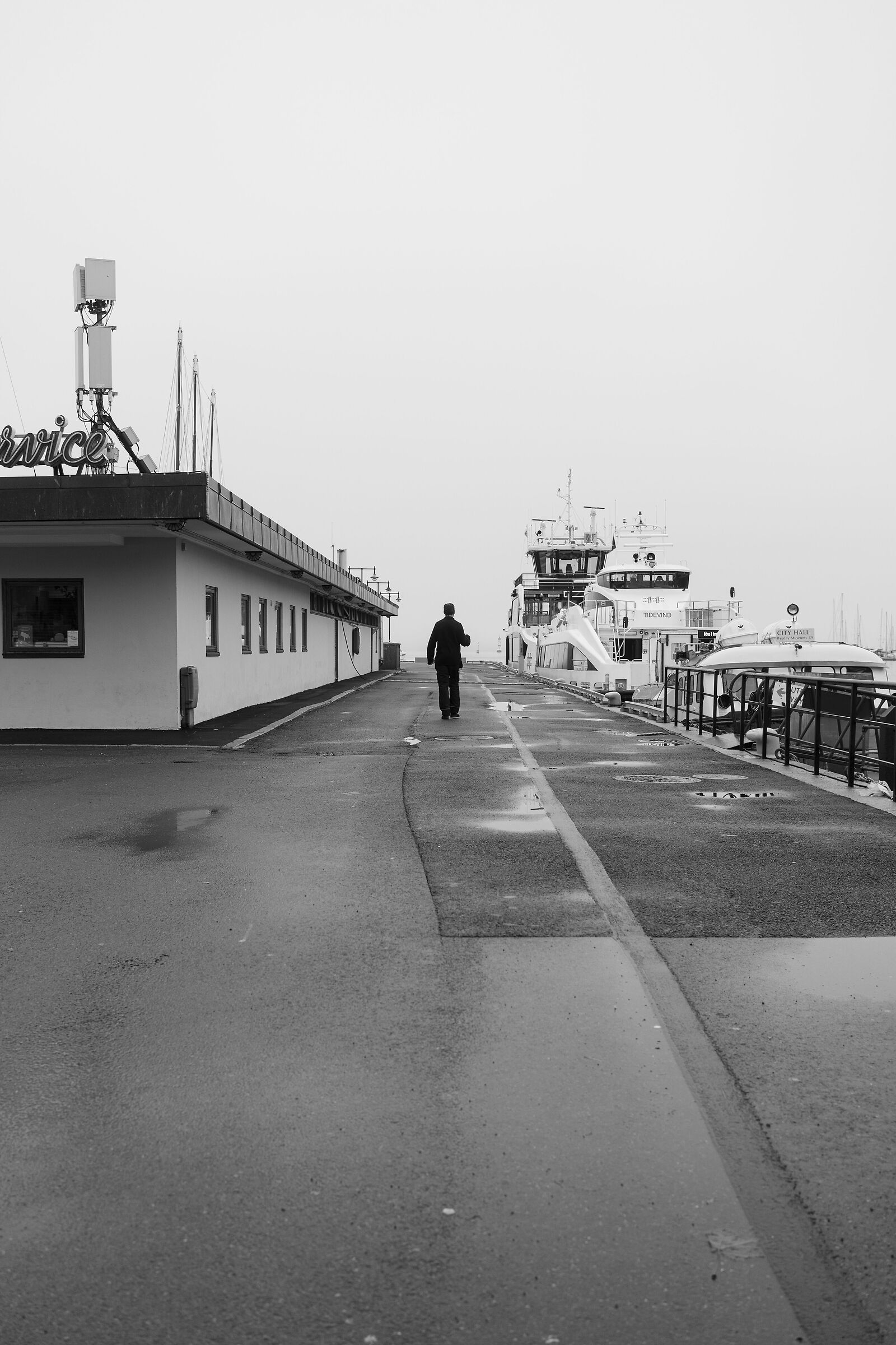 In the fog