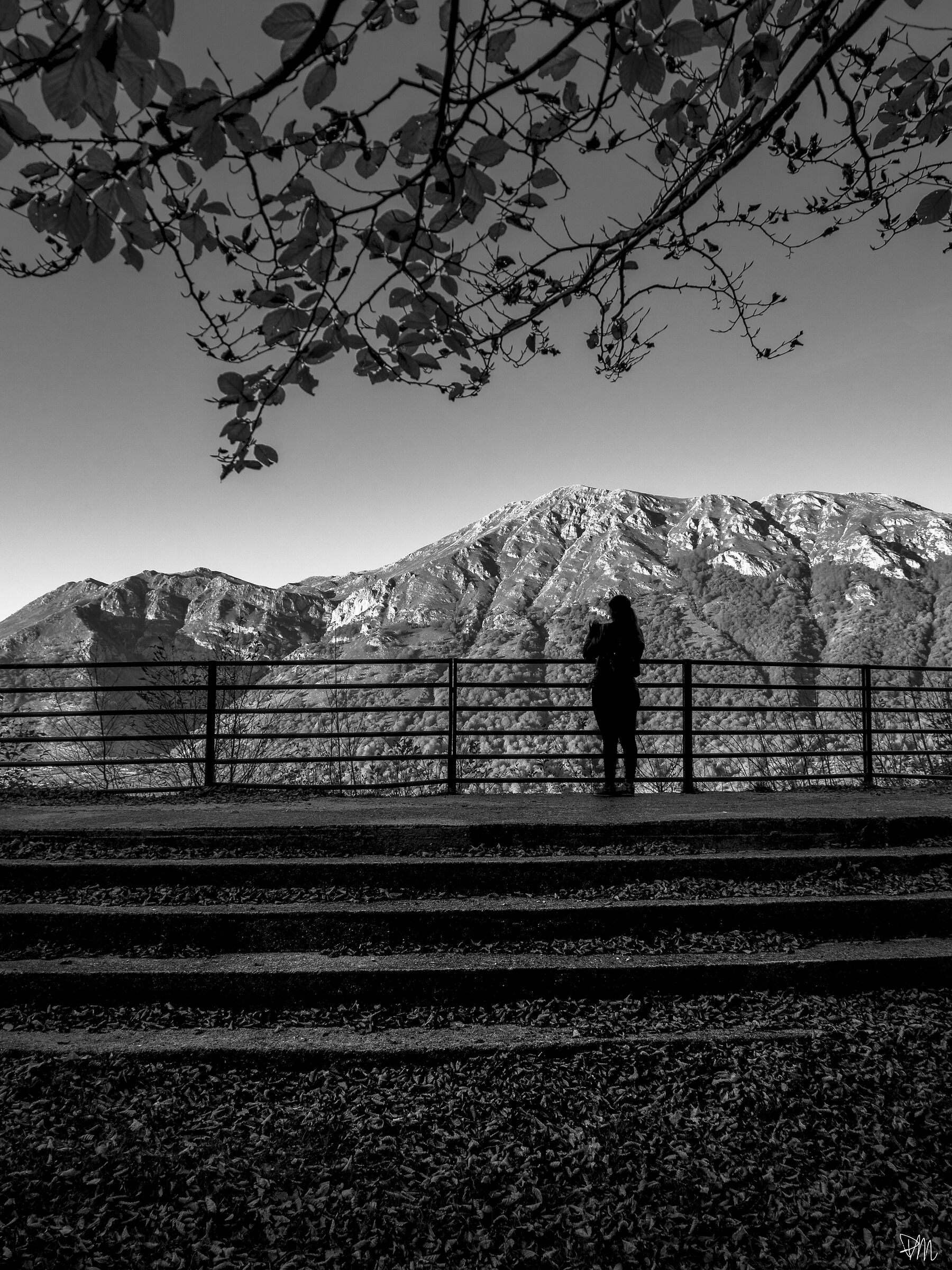 Ammirare il paesaggio