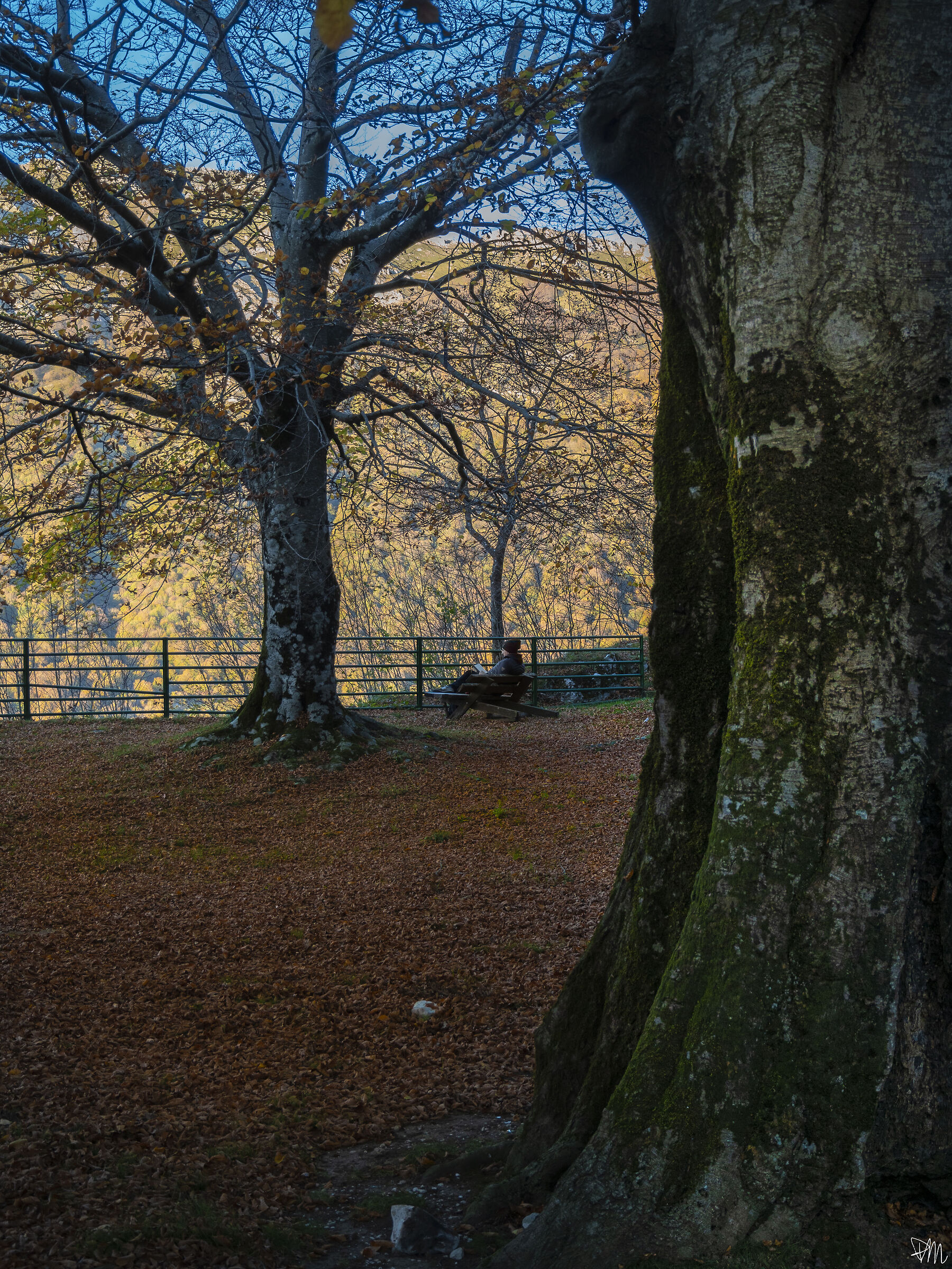 Una lettura in natura
