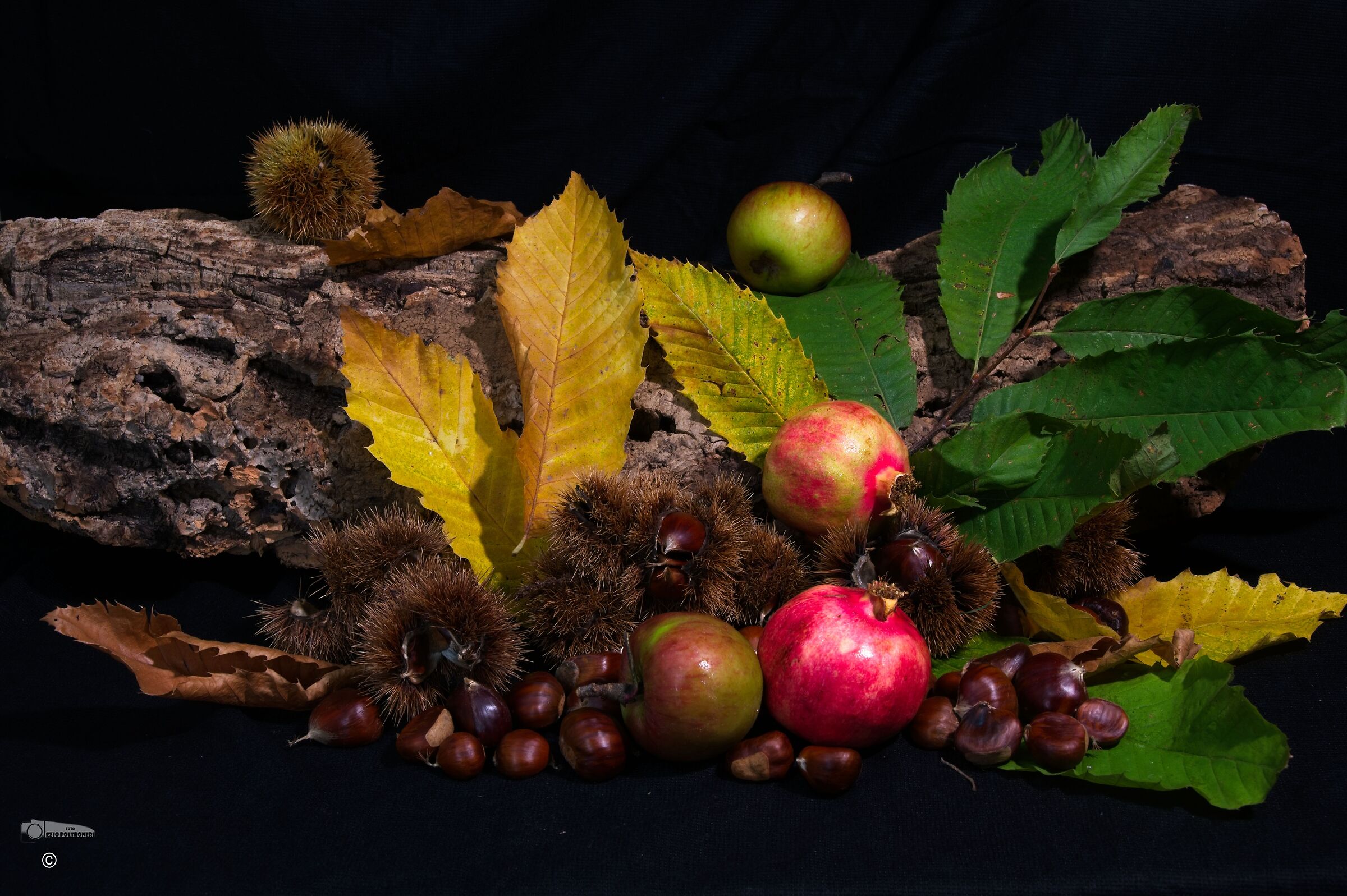 autumn