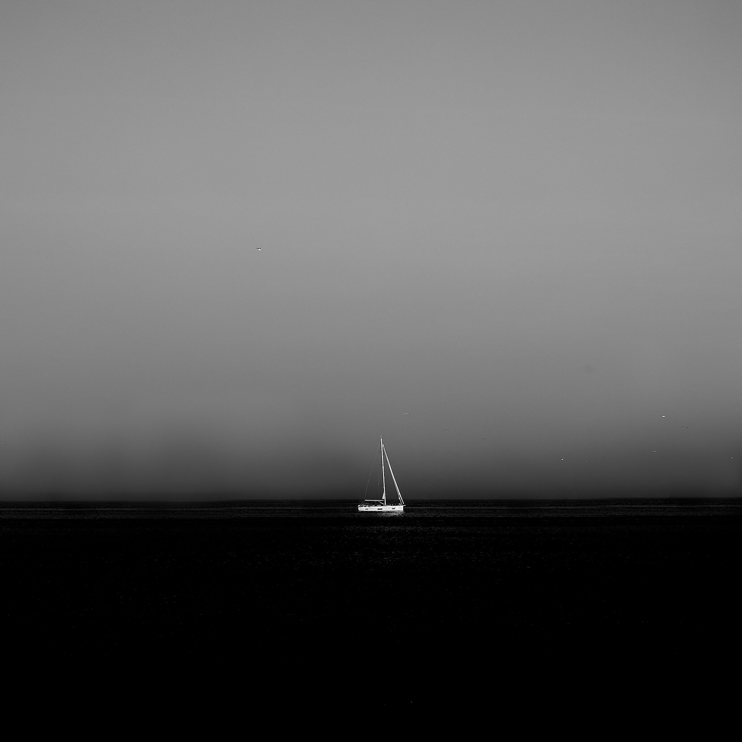 Oro Nero
