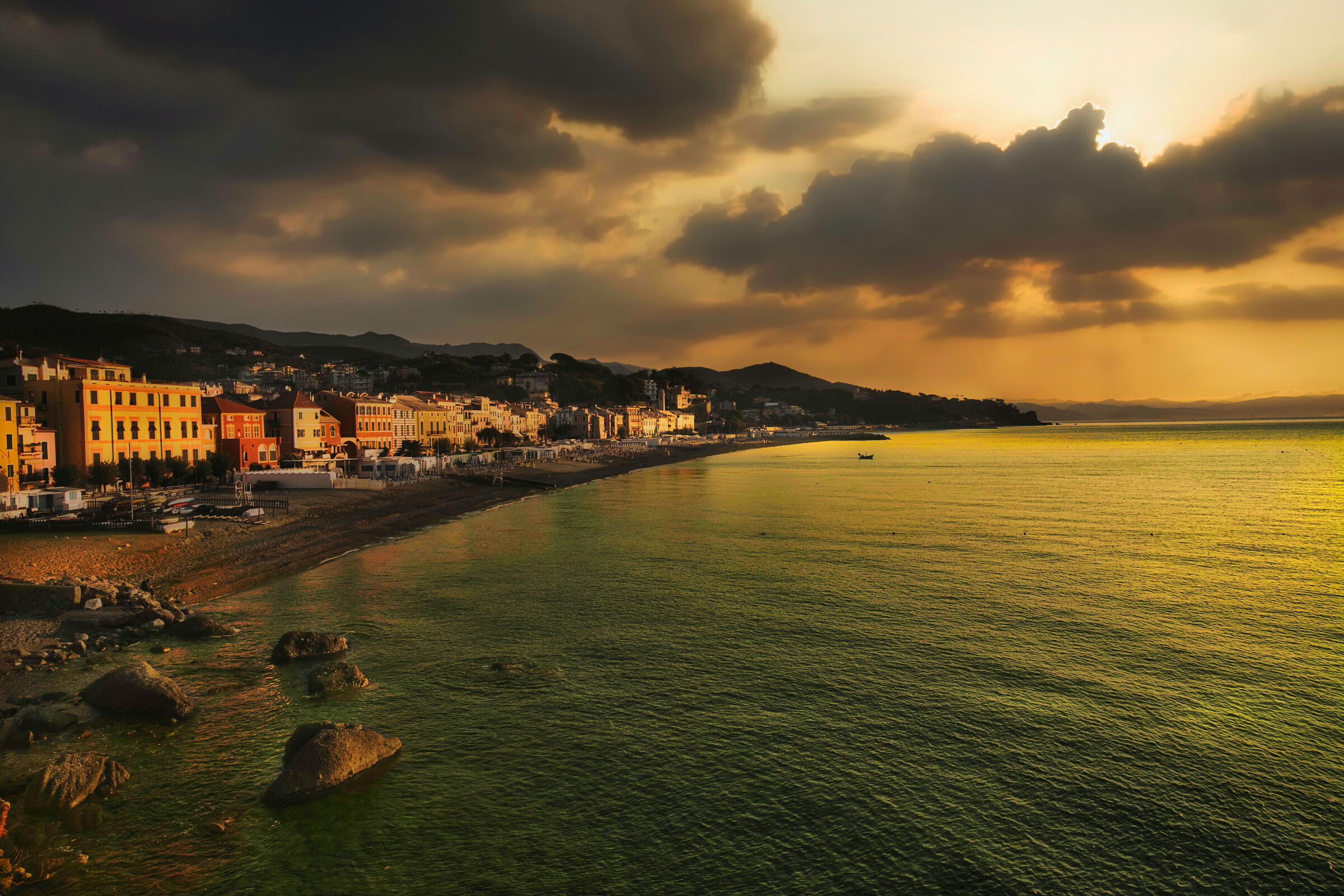 A sea of gold in Celle ligure