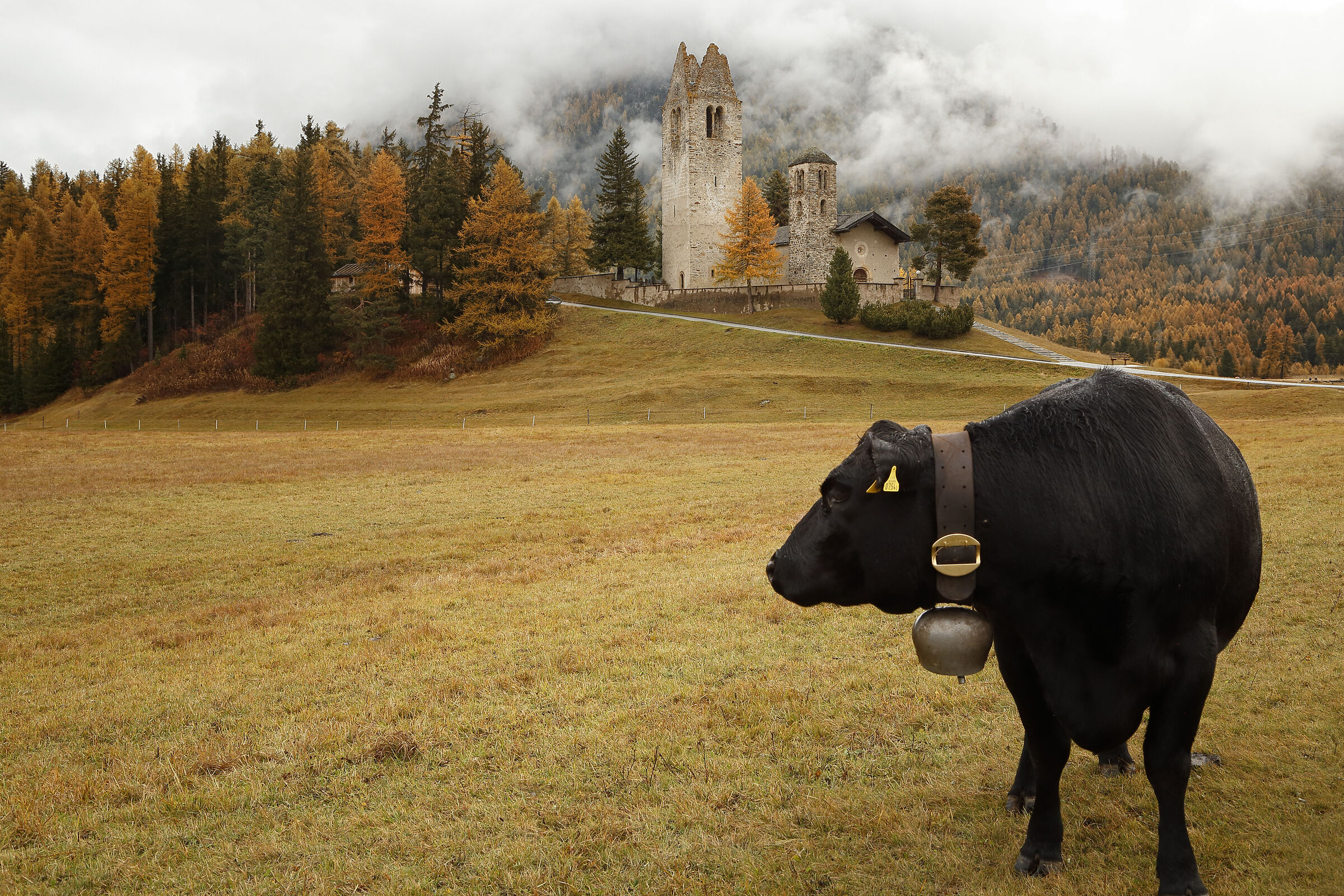 Chiesa di San Gian e un suo abitante