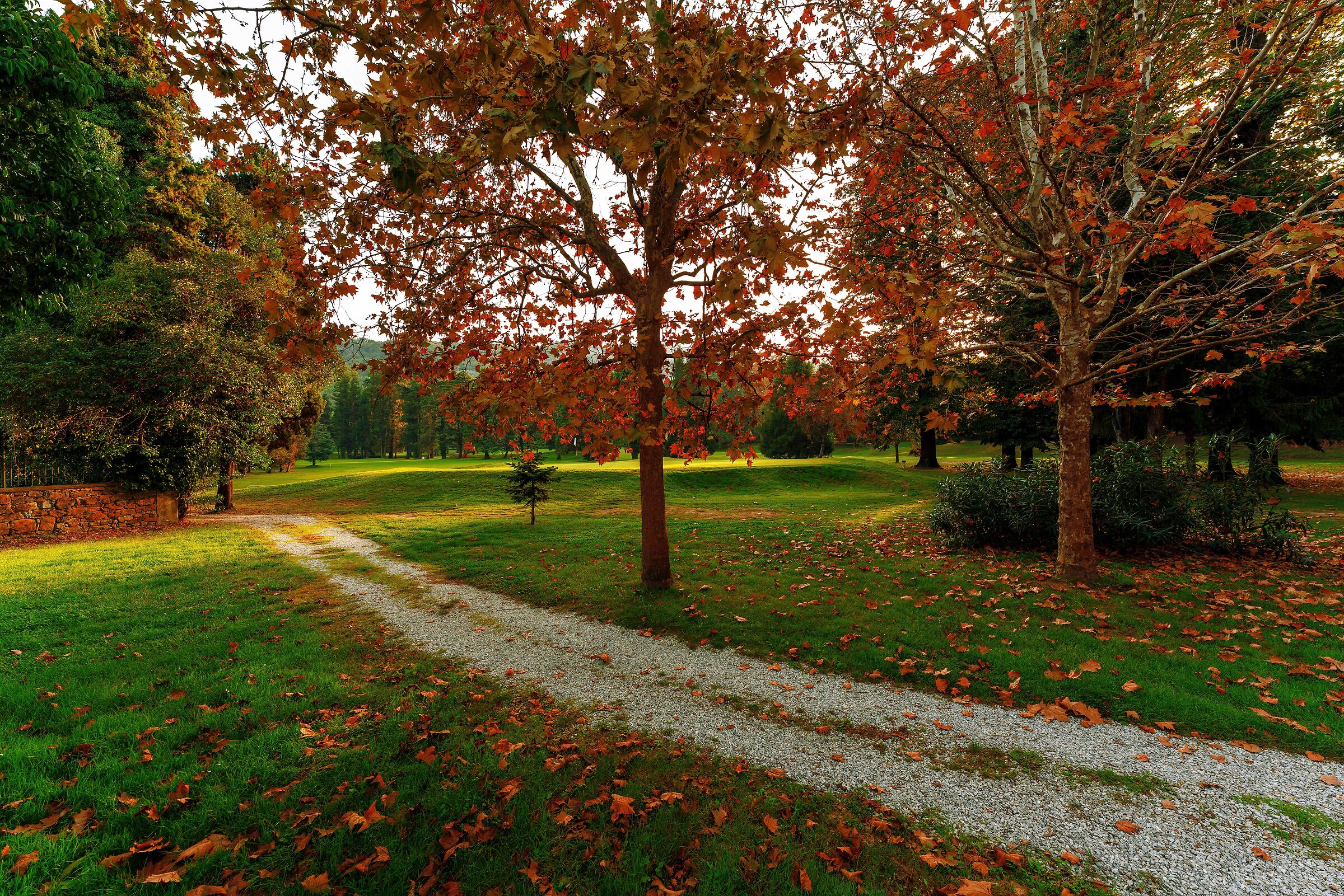 Come, there is a road in the woods.........