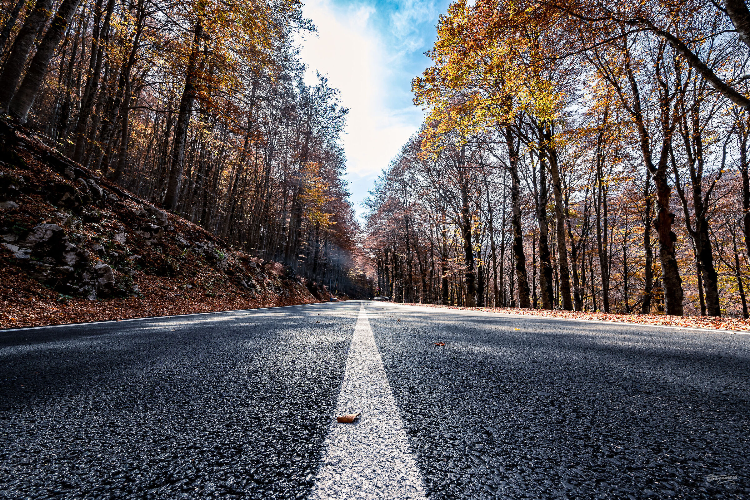 Road to Autumn