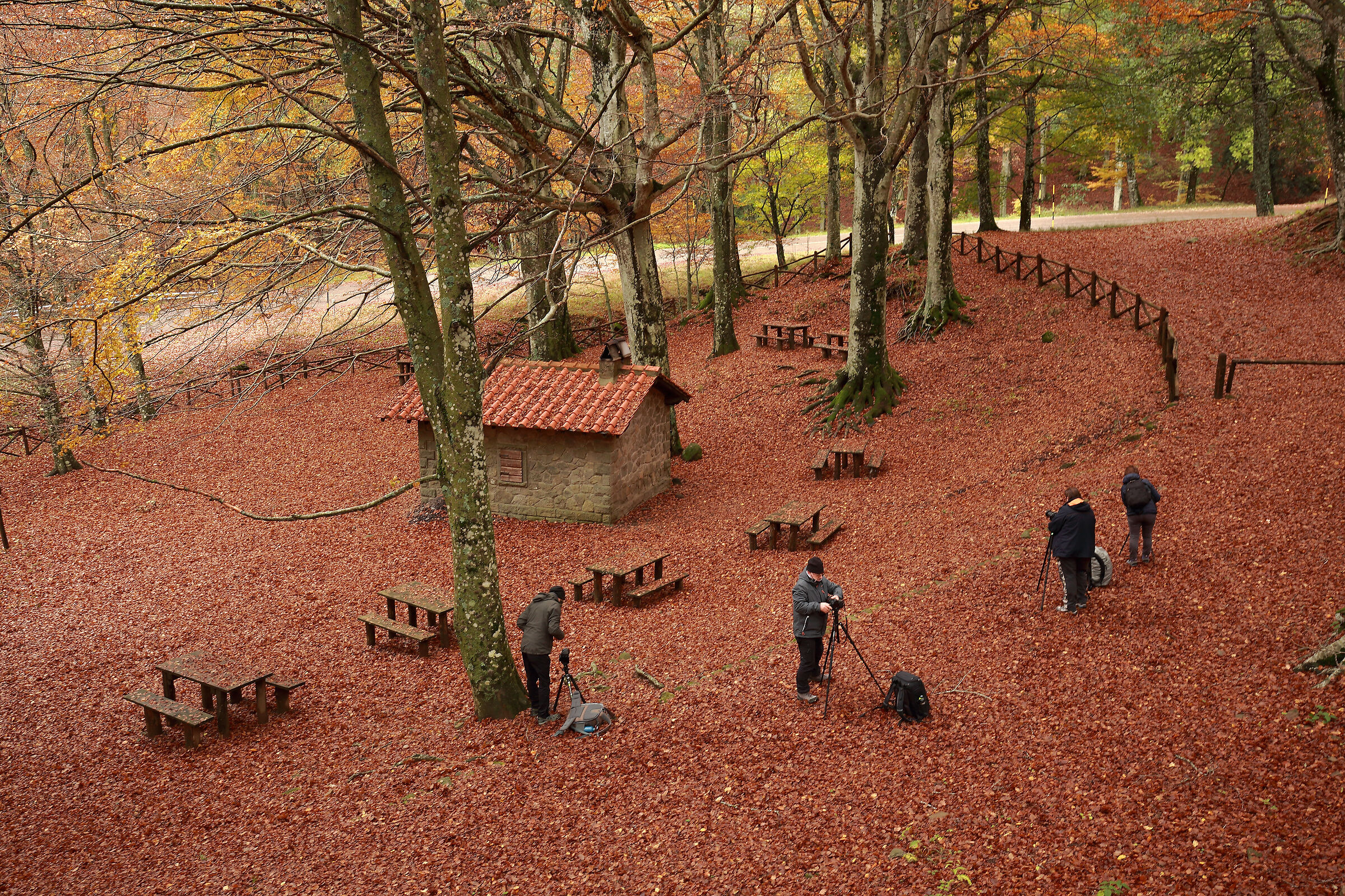 Autumn shooting