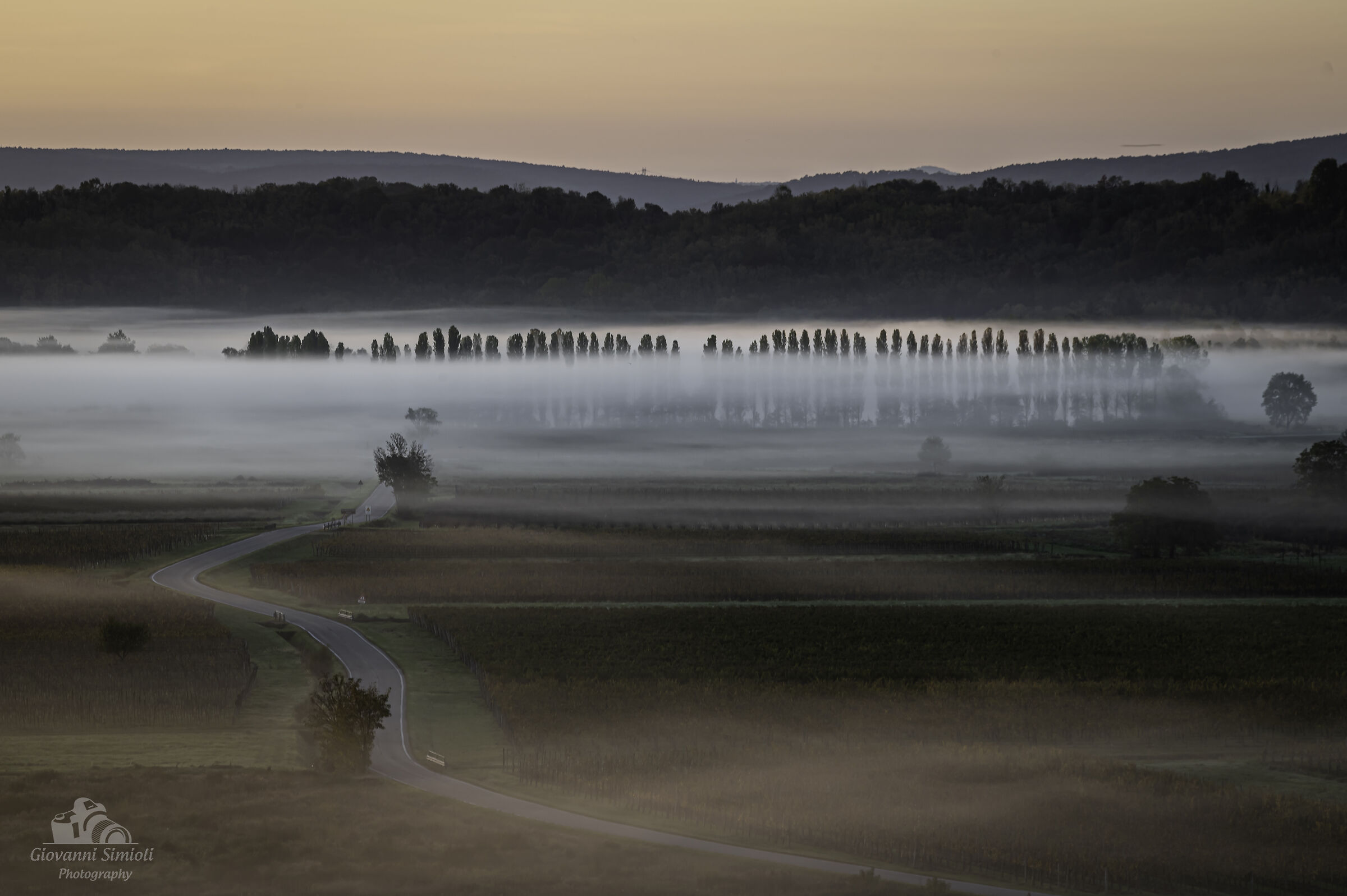 Alba sulla piana del Preval, Collio Goriziano