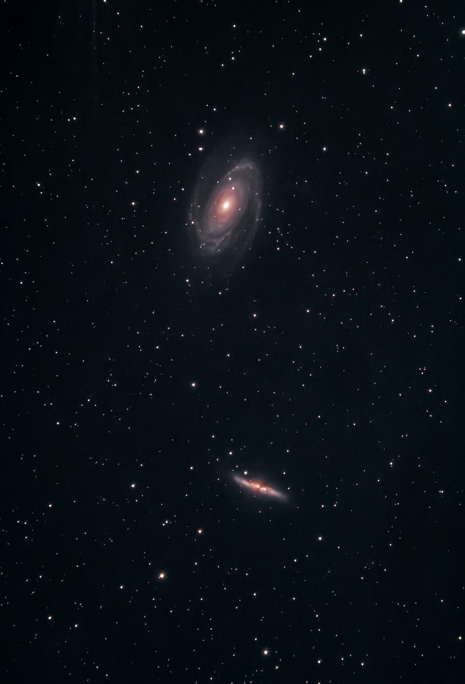 M 81 M 82