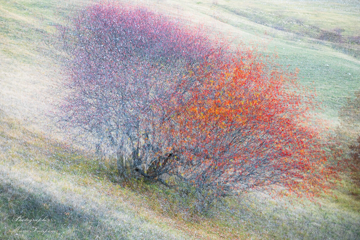 Autumn in Castelluccio