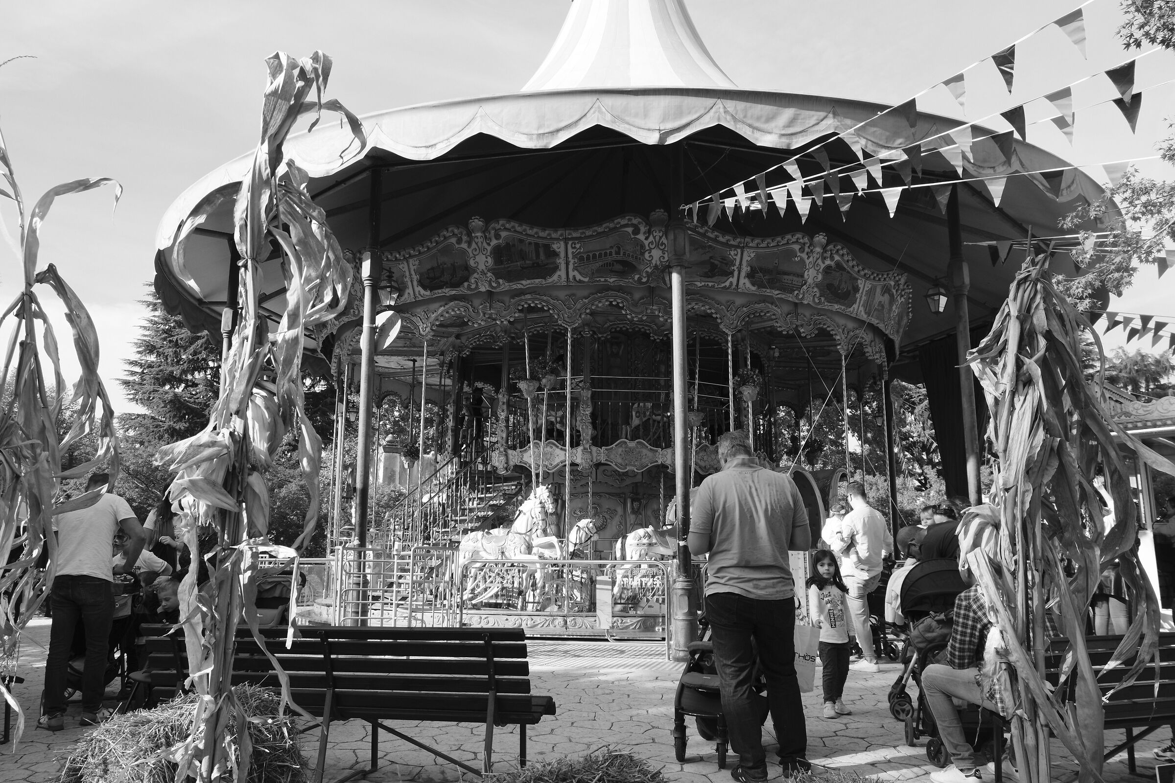 B&W Carousel