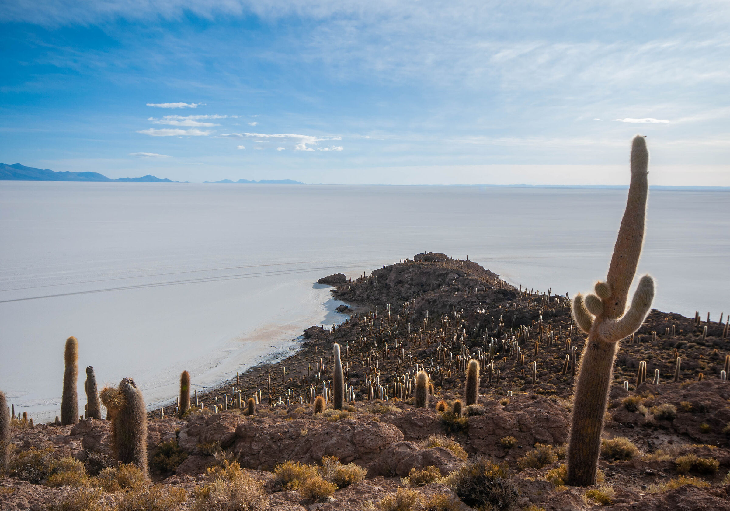 Salar de Uyuni seen from Isla Incahuasi