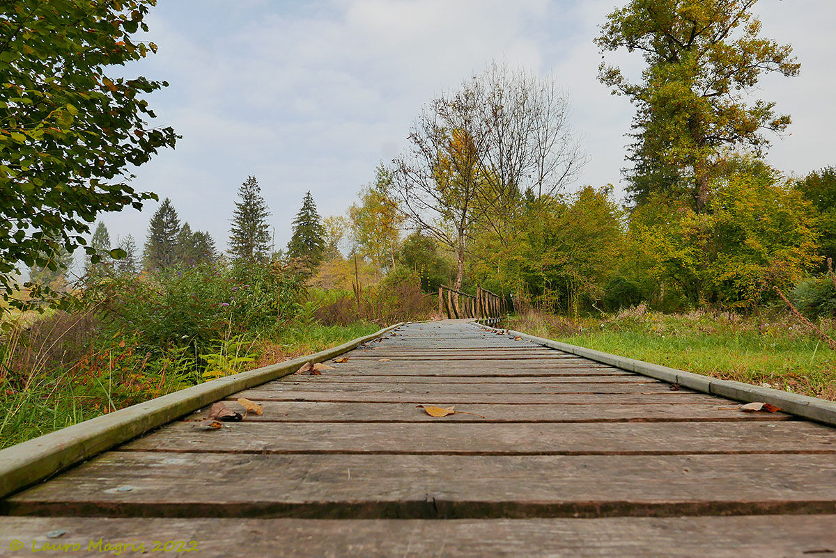 Con gli occhi del riccio