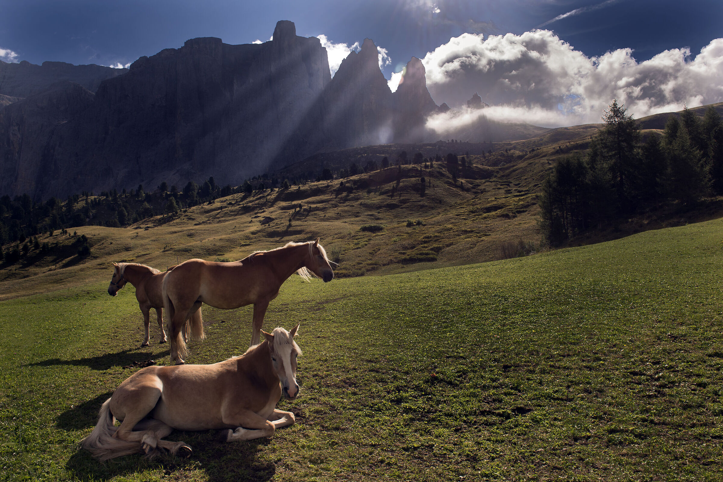 avelignesi in gardena