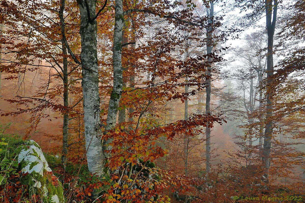 Atmosfera avvolgente