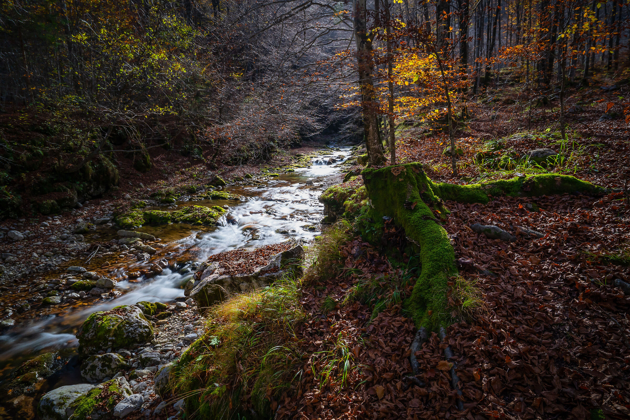Autunno in val d'Arzino