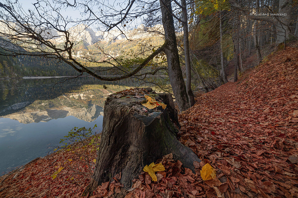 The enchanted lake...