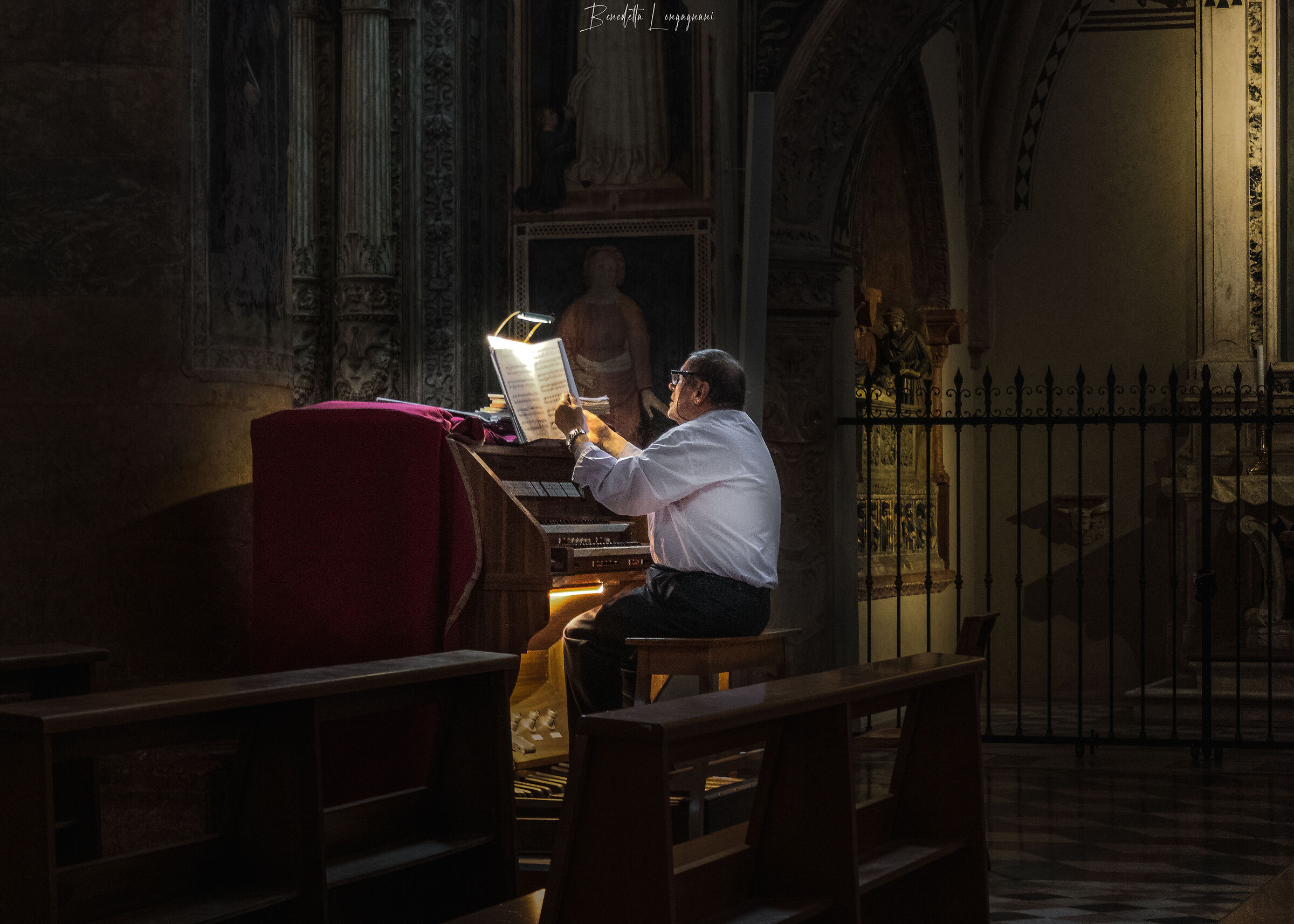 The organist. Basilica of Sant'Agata, Verona