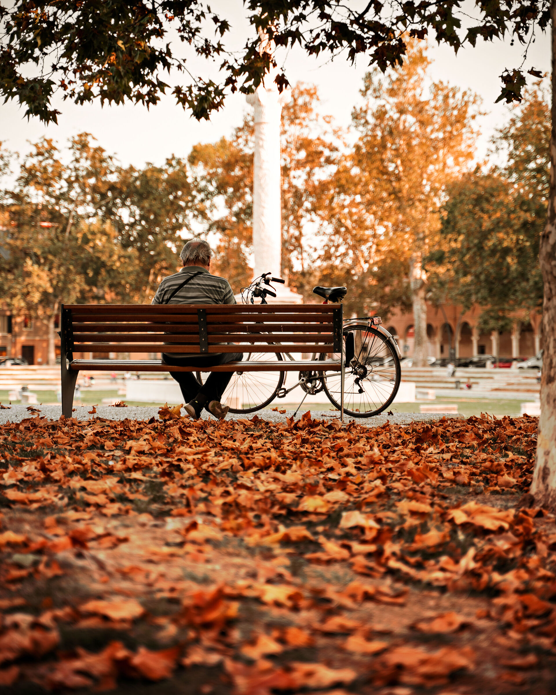 Autumn in Ferrara