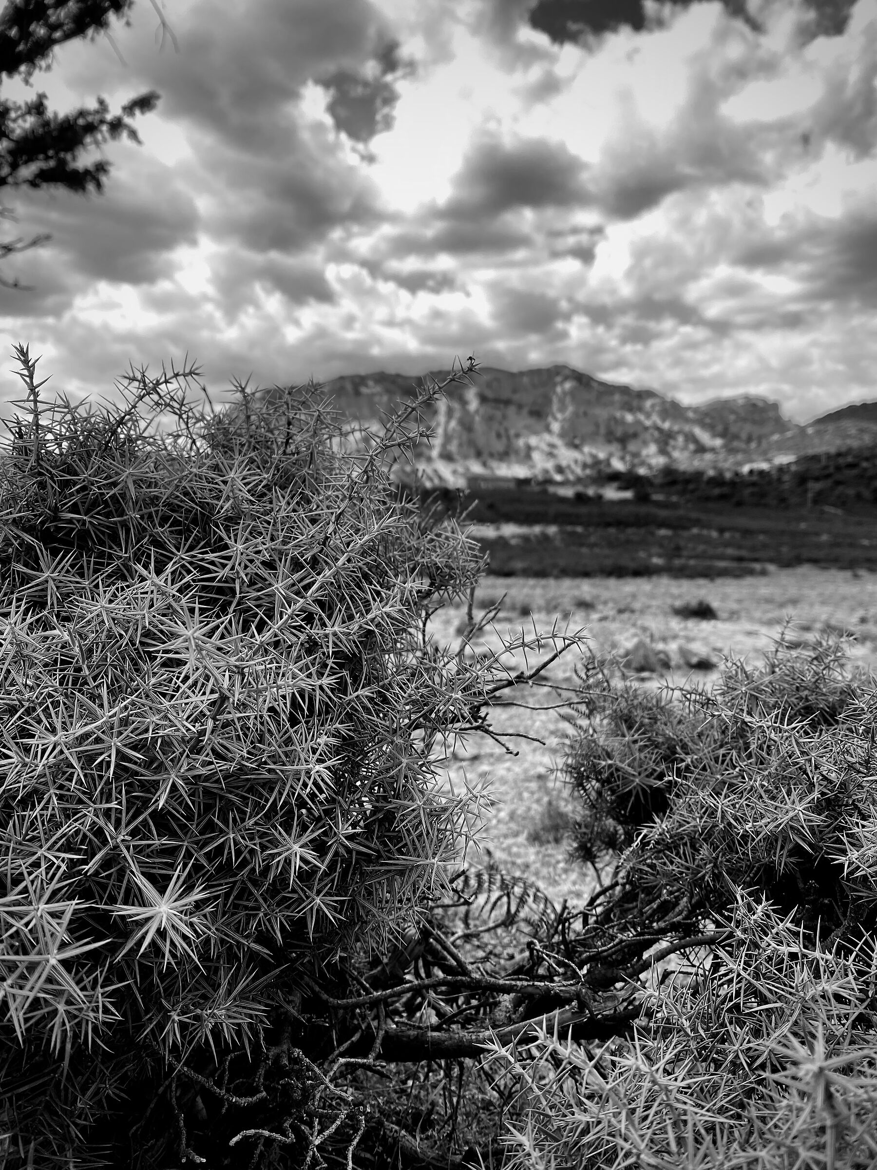 Alone in nothingness