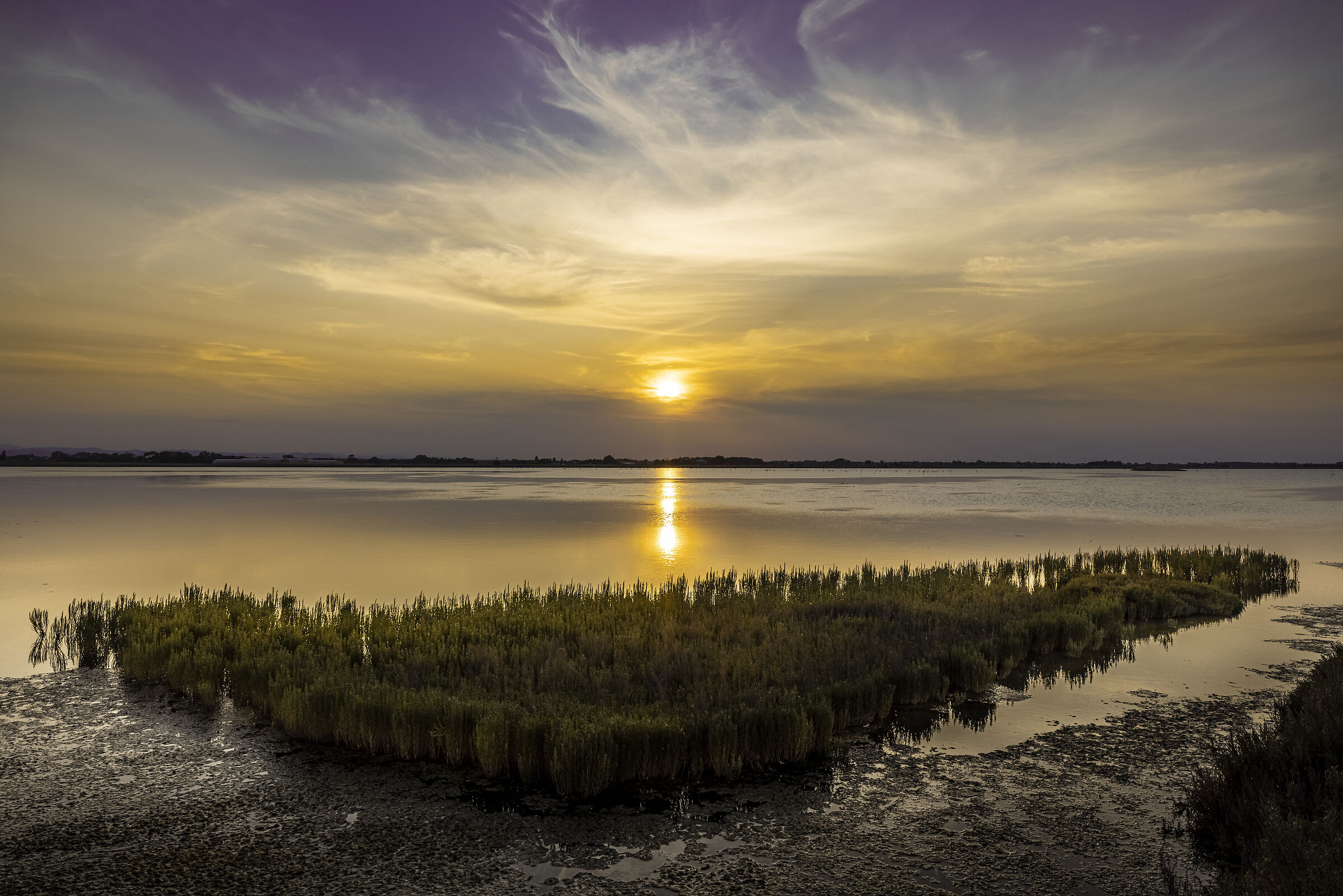 Salty Sunset