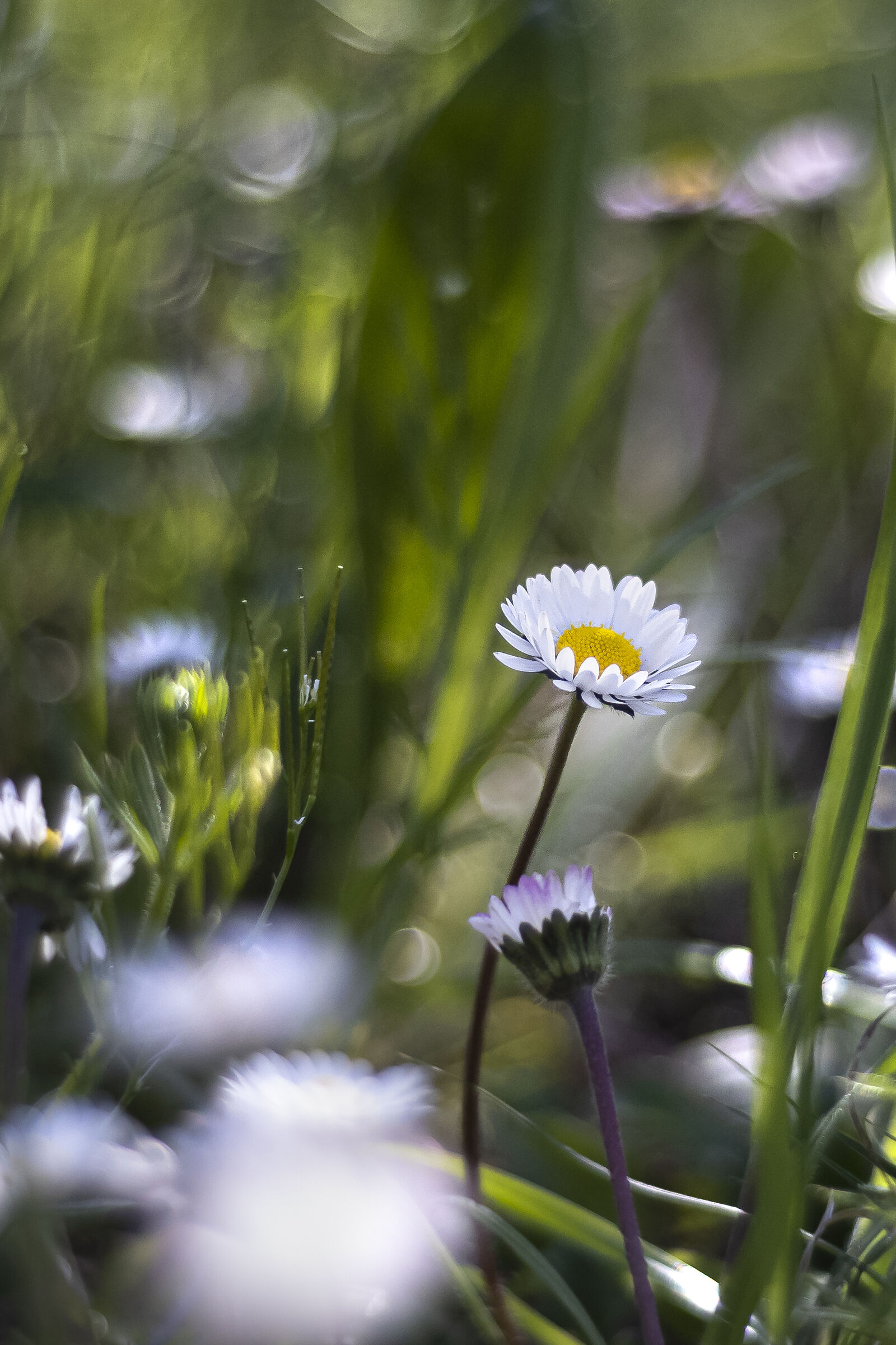 Once upon a time the imperfection...