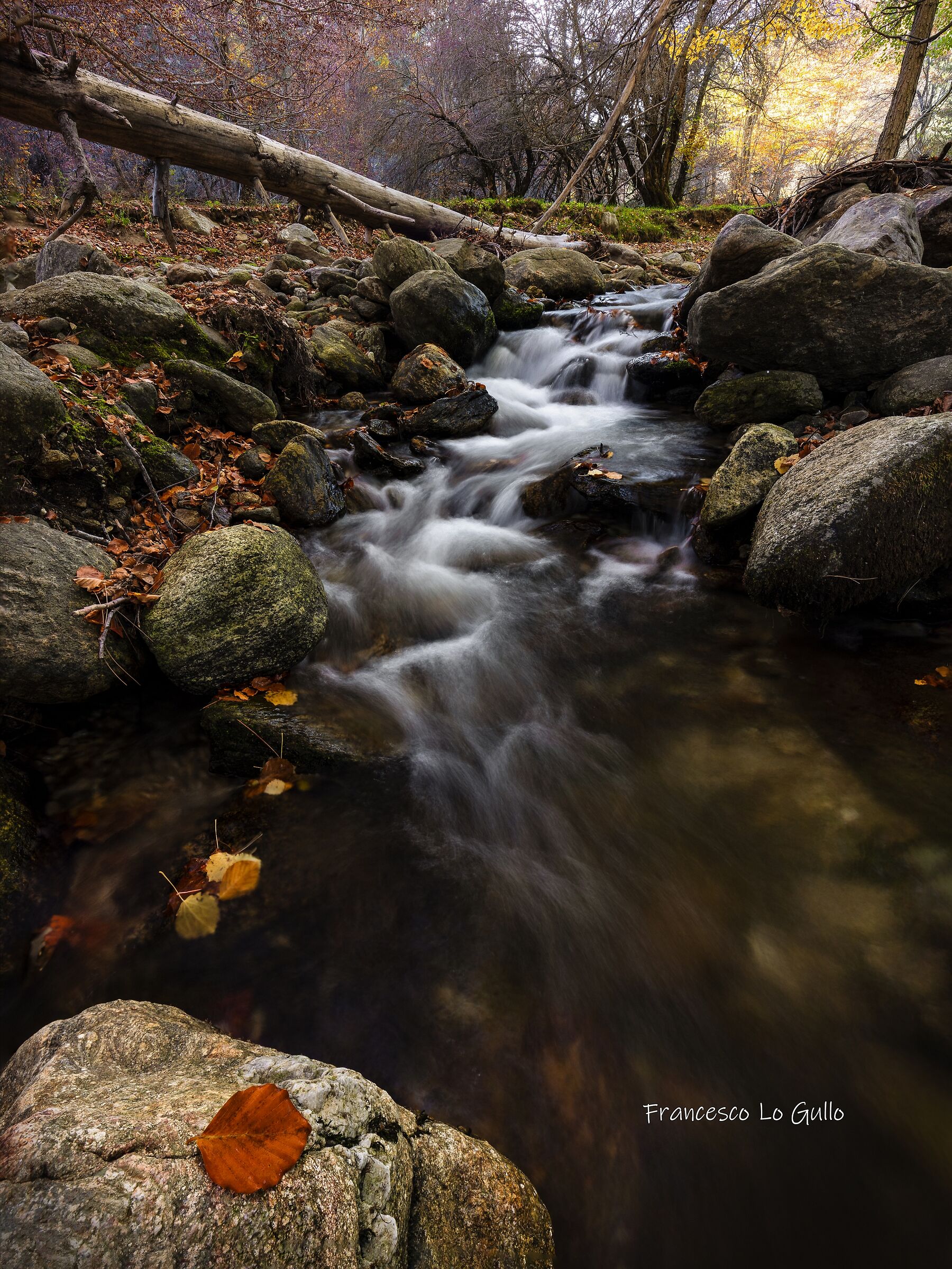 Torrente in Autunno