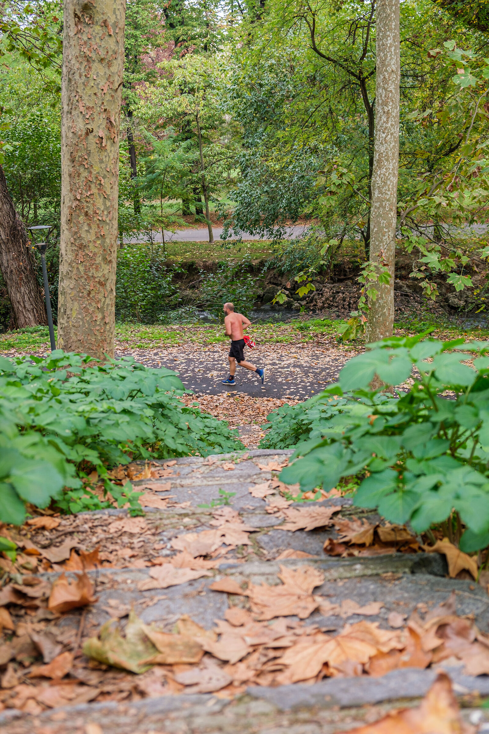 Parco Lambro - Milan
