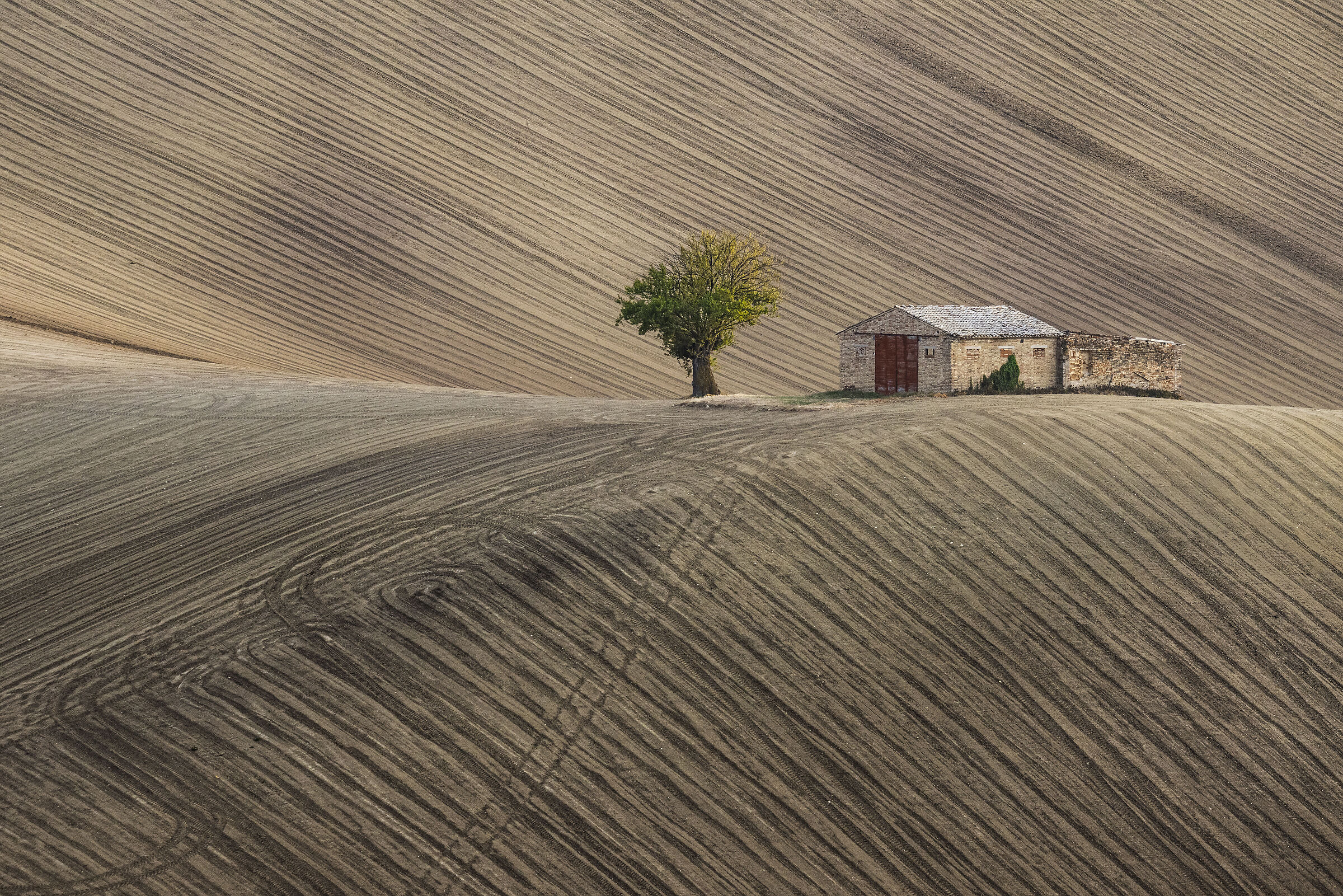 ... little house