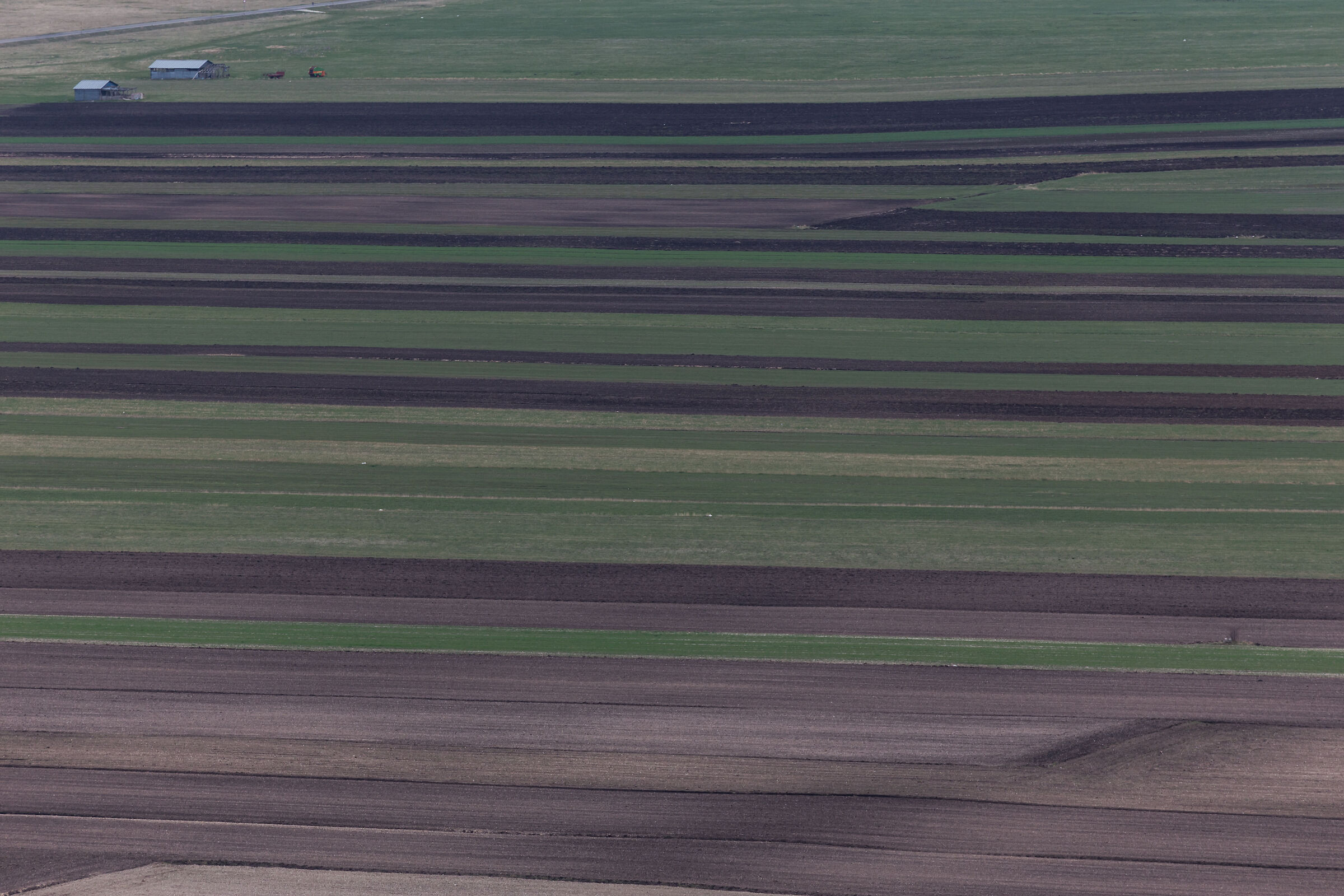 Castelluccio di Norcia - Pian grande ready for sowing