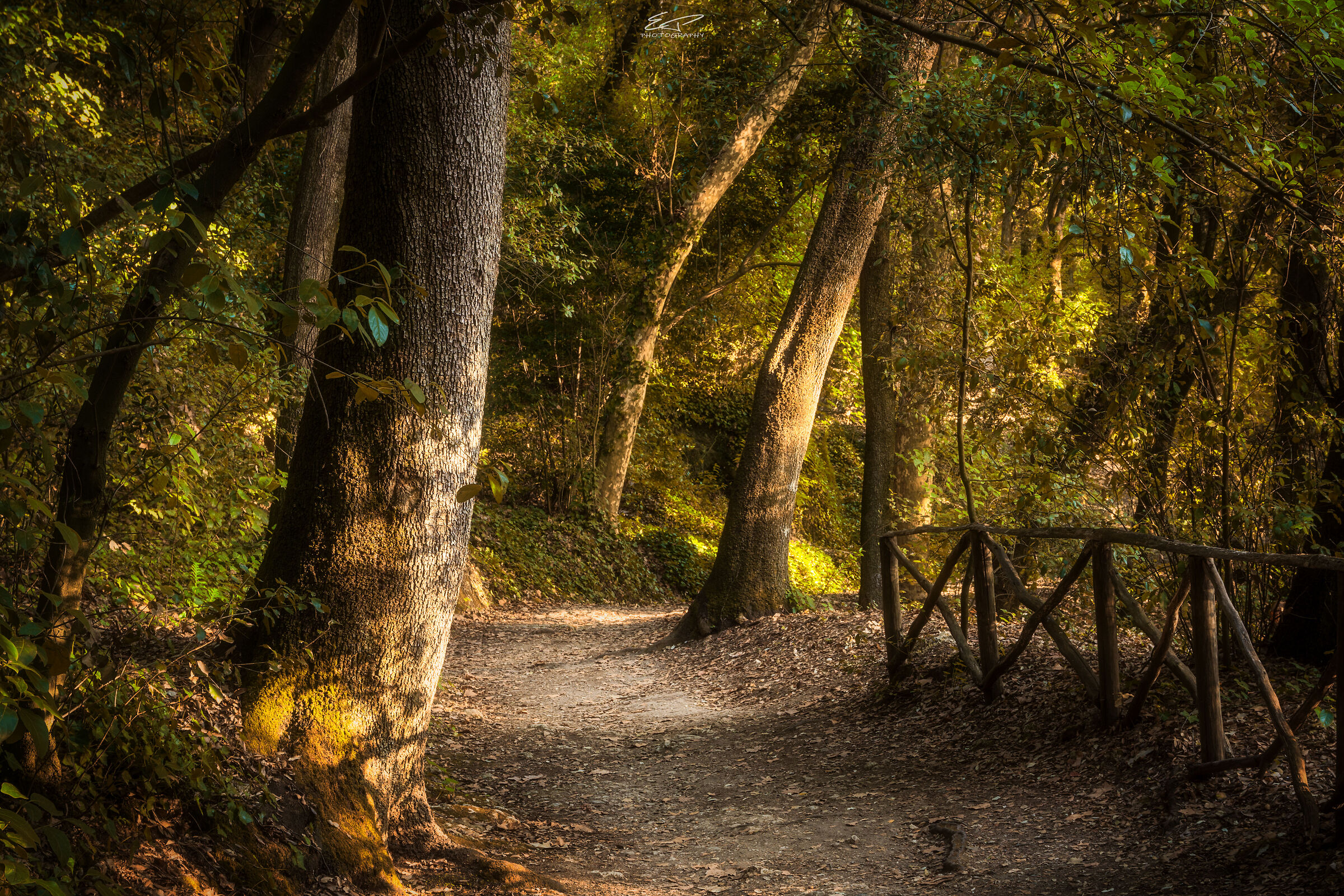 Dream's of Autumn (Walk in the Park)