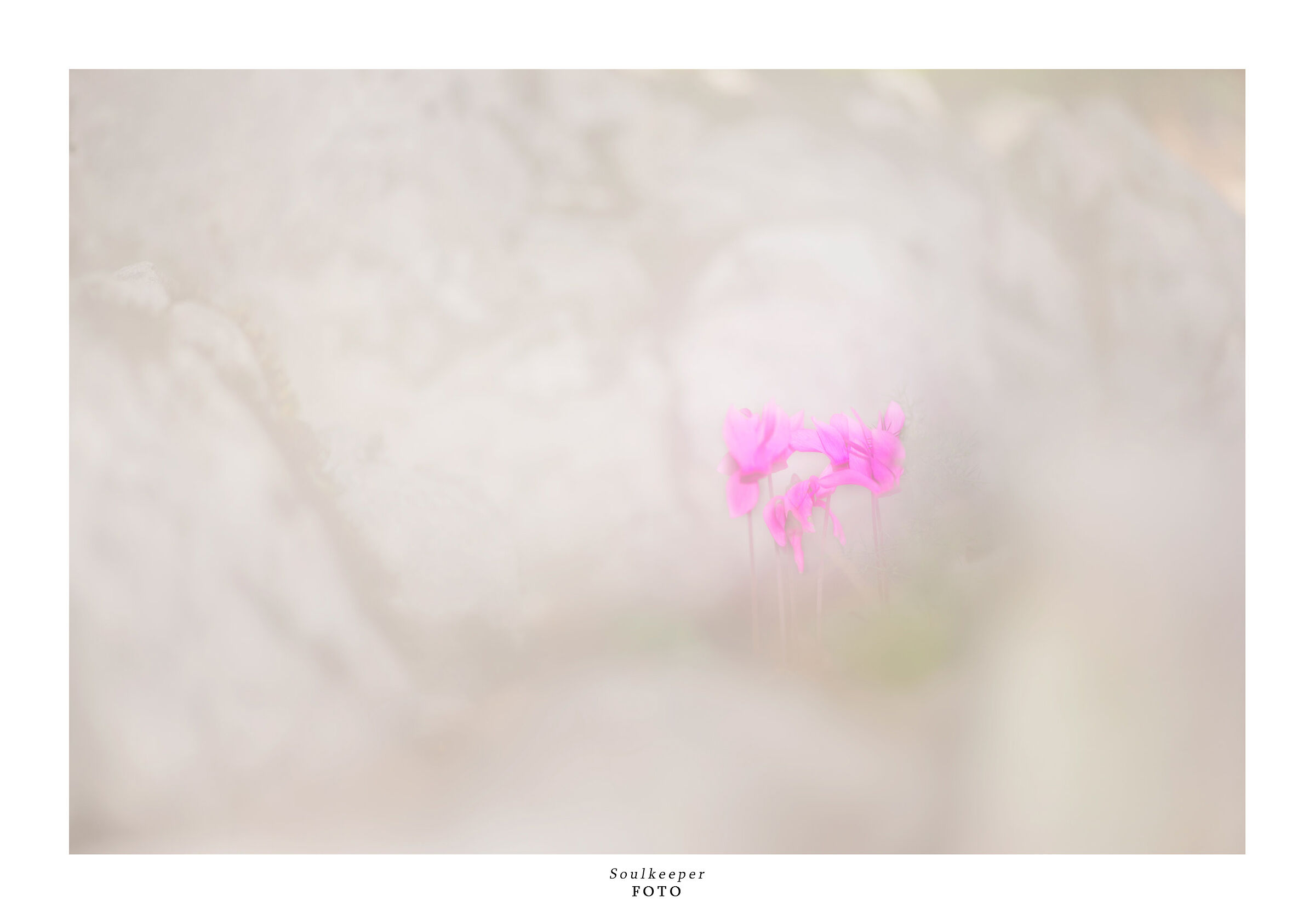 There's a crack in everything...