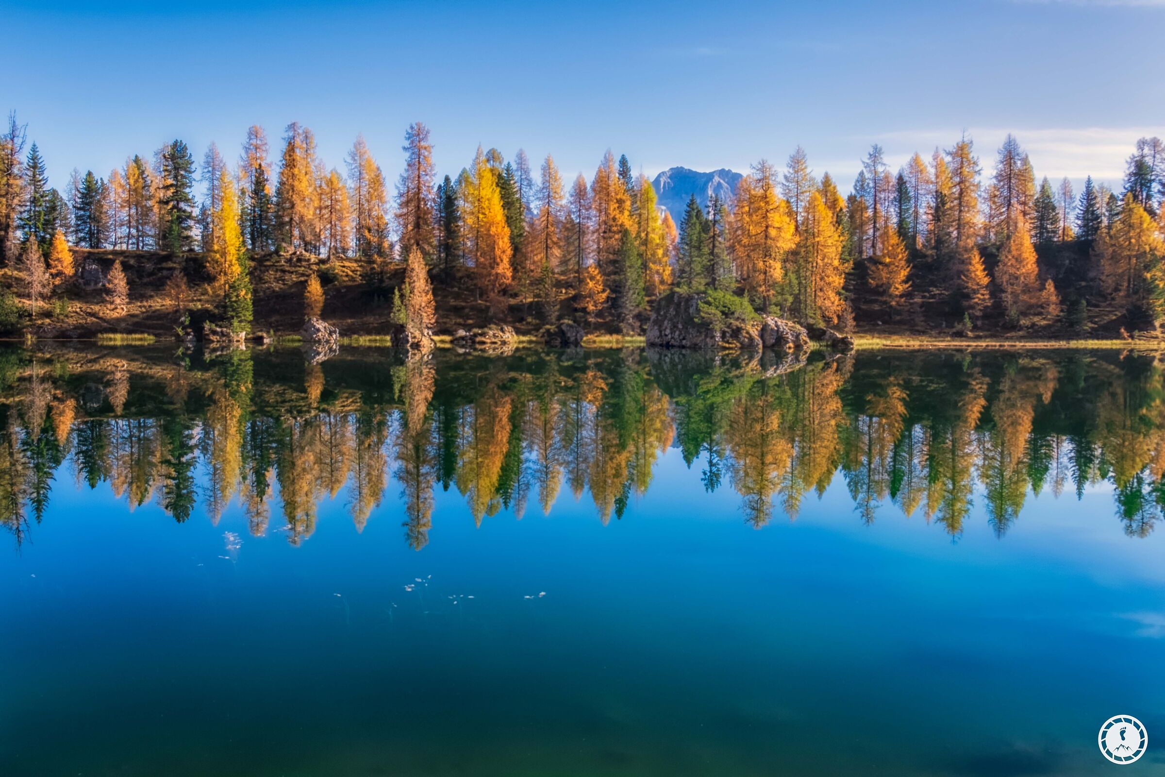 autumn reflect