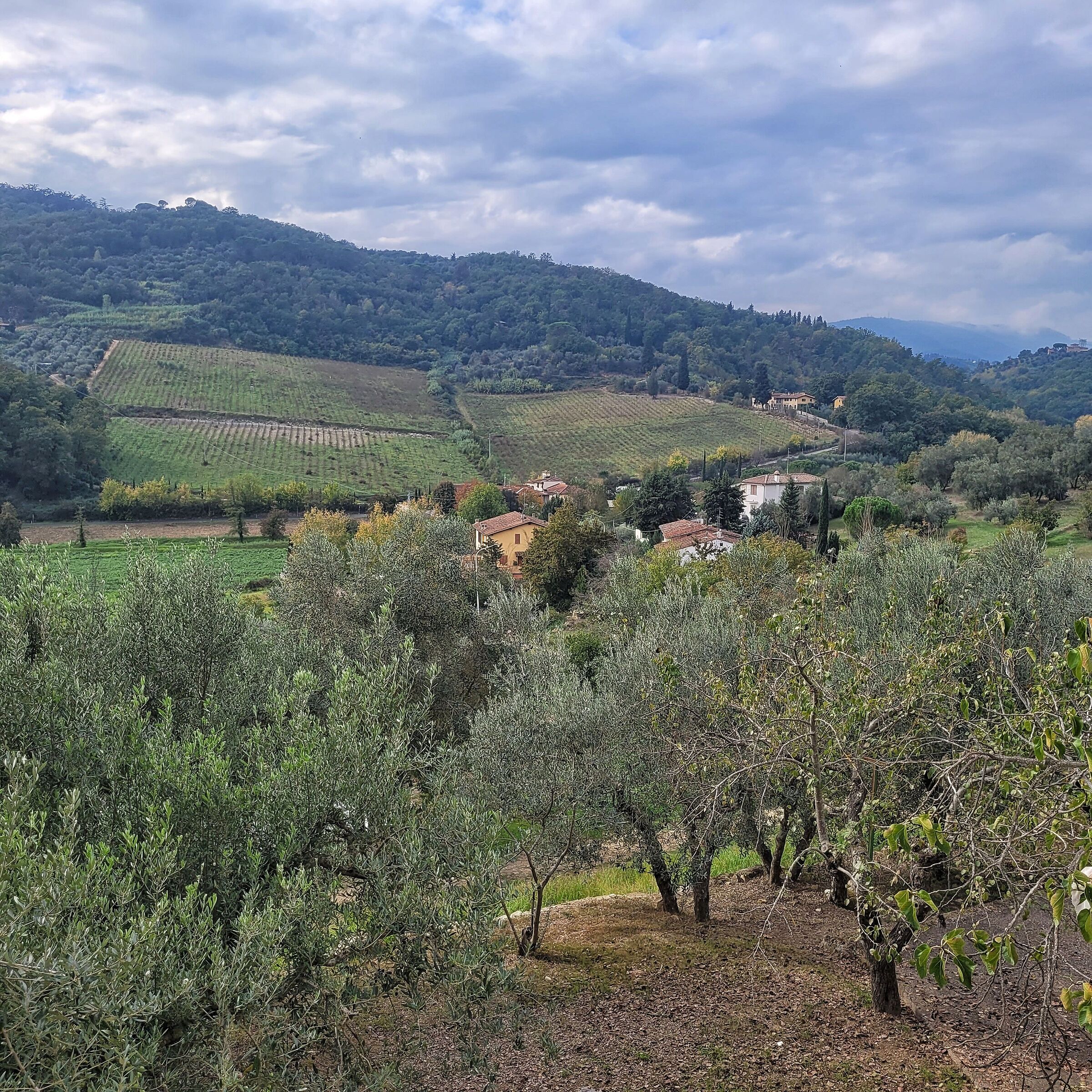 Campagna toscana