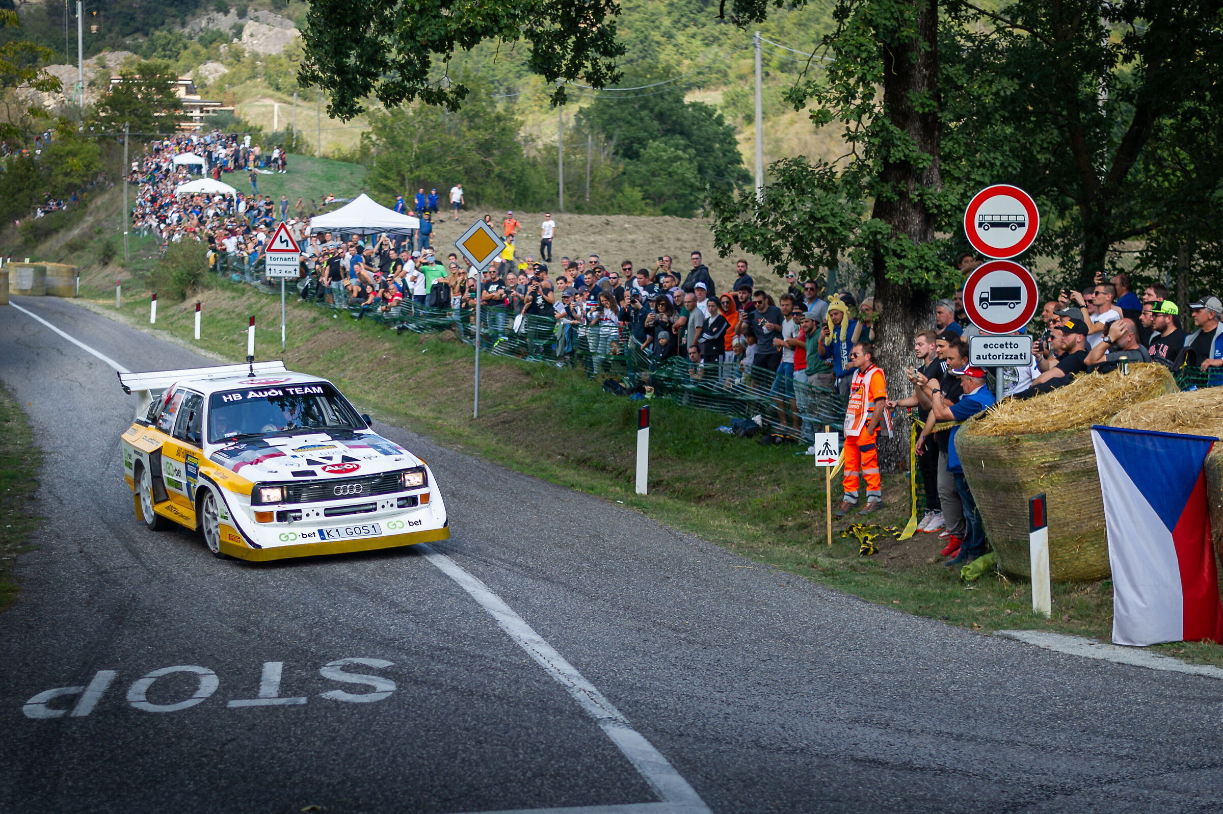 Audi Sport Quattro S1