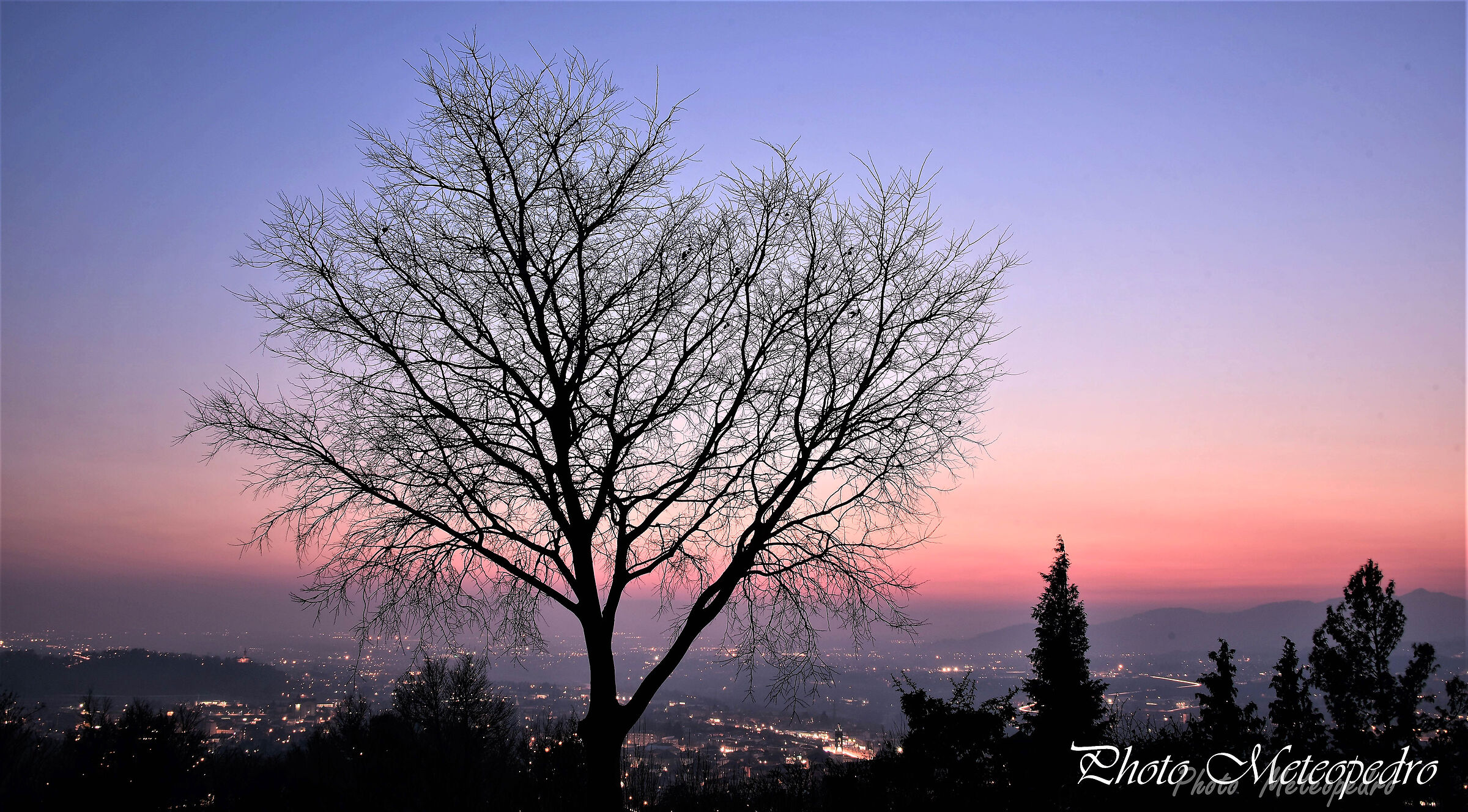 the magic of twilight