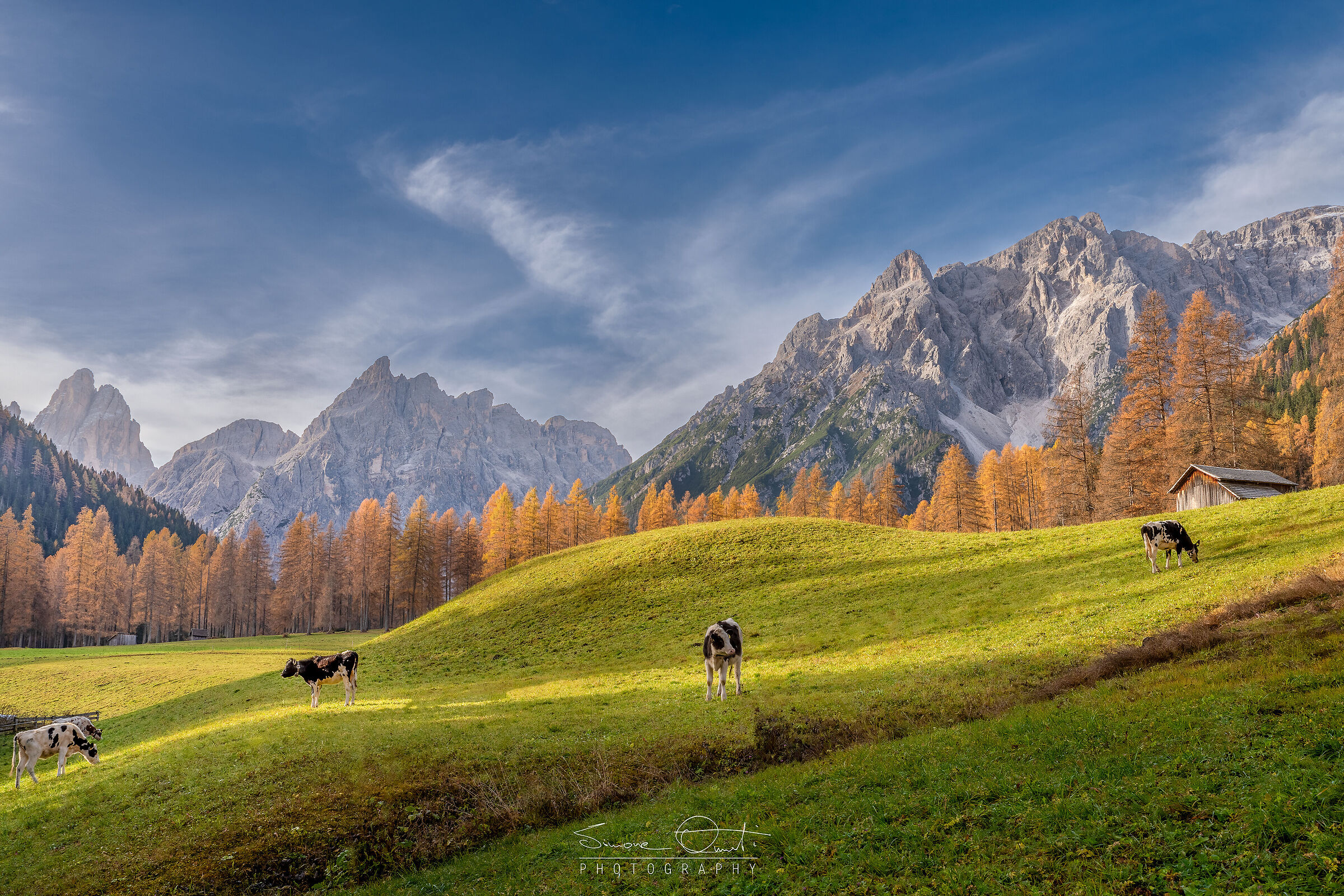 In the shadow of giants