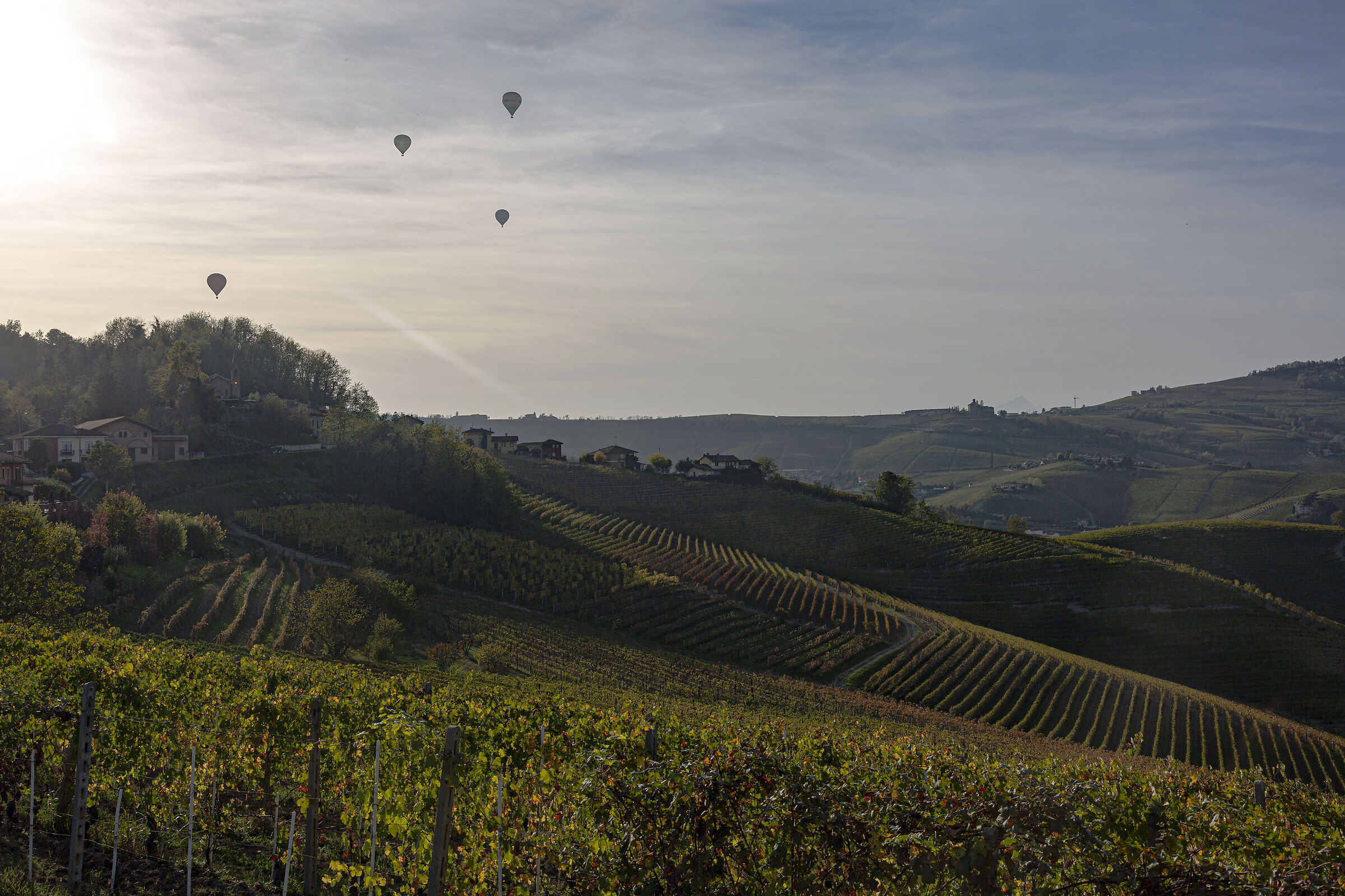 Langhe1