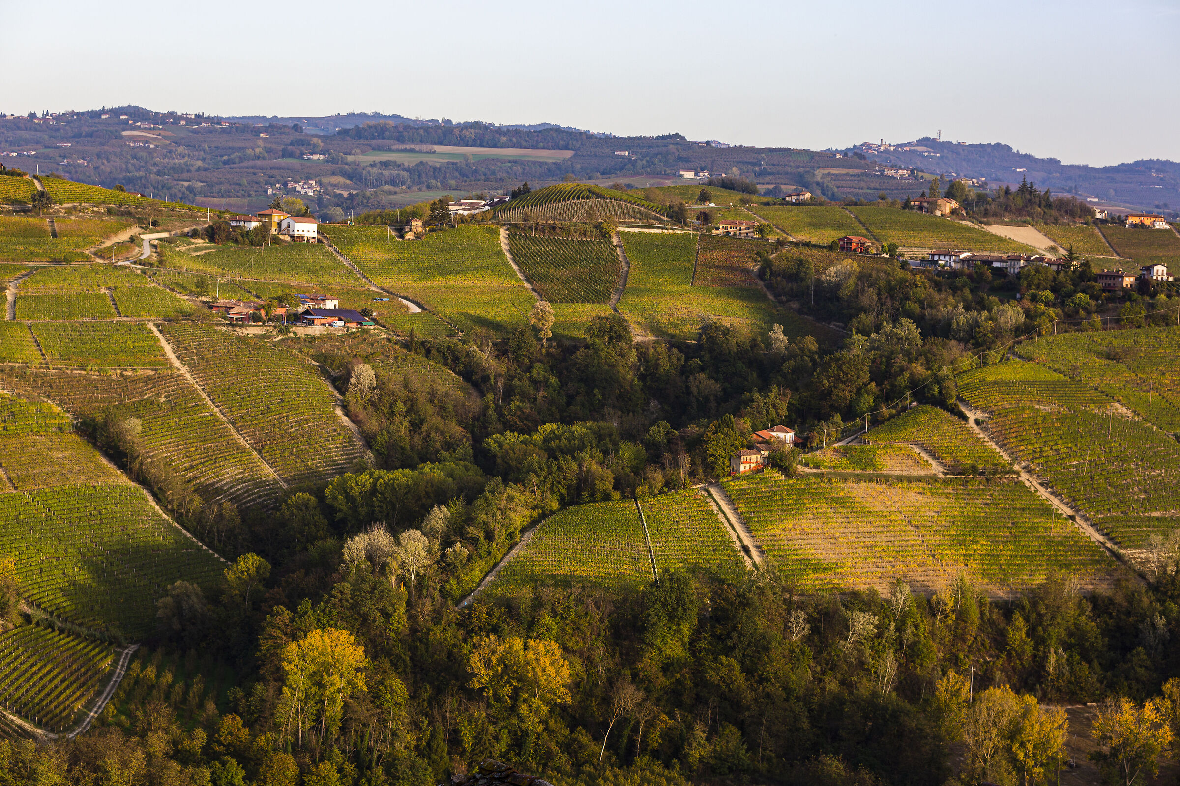 Langhe2