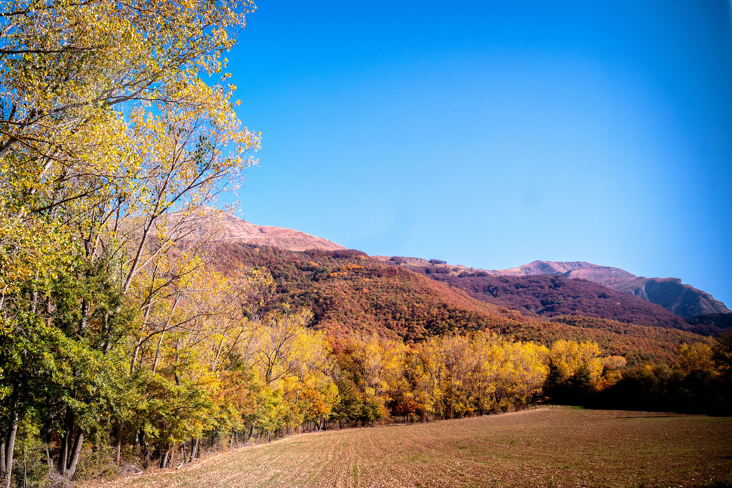 Autumn