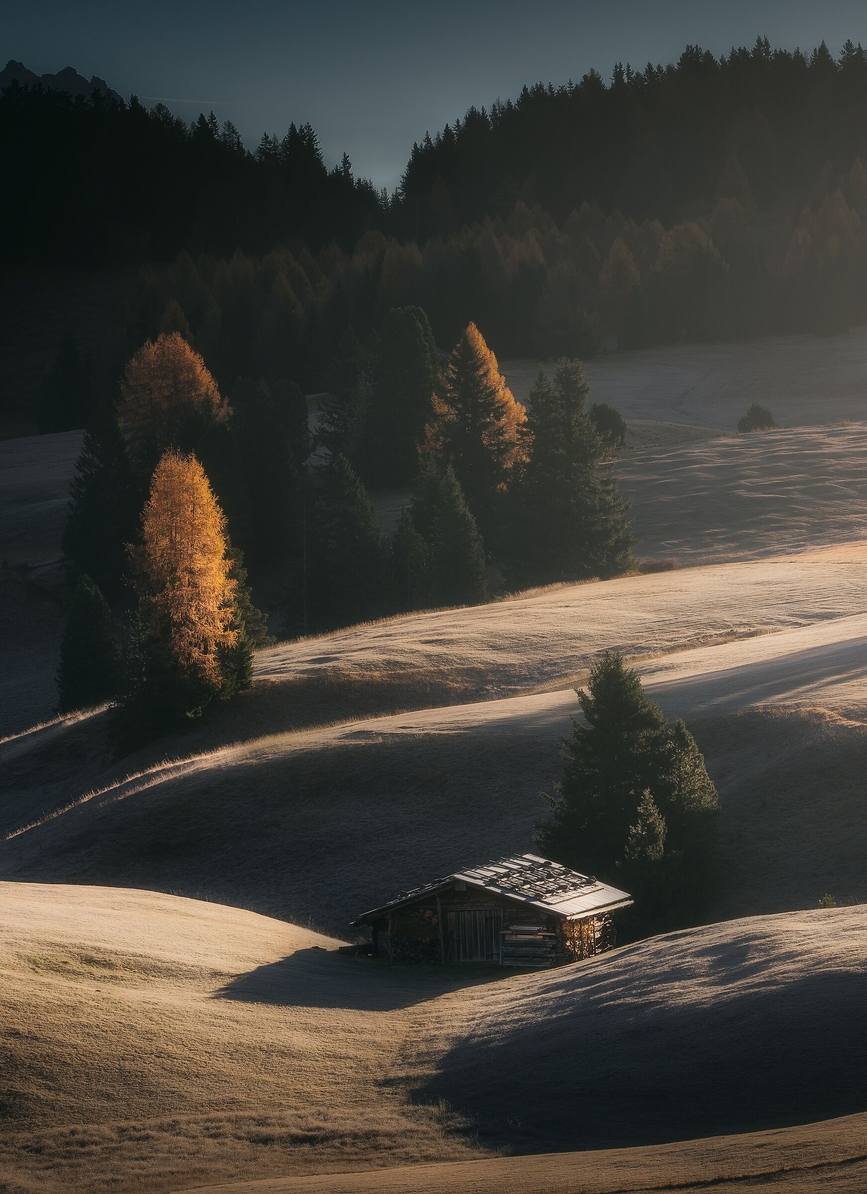 Tra autunno e inverno