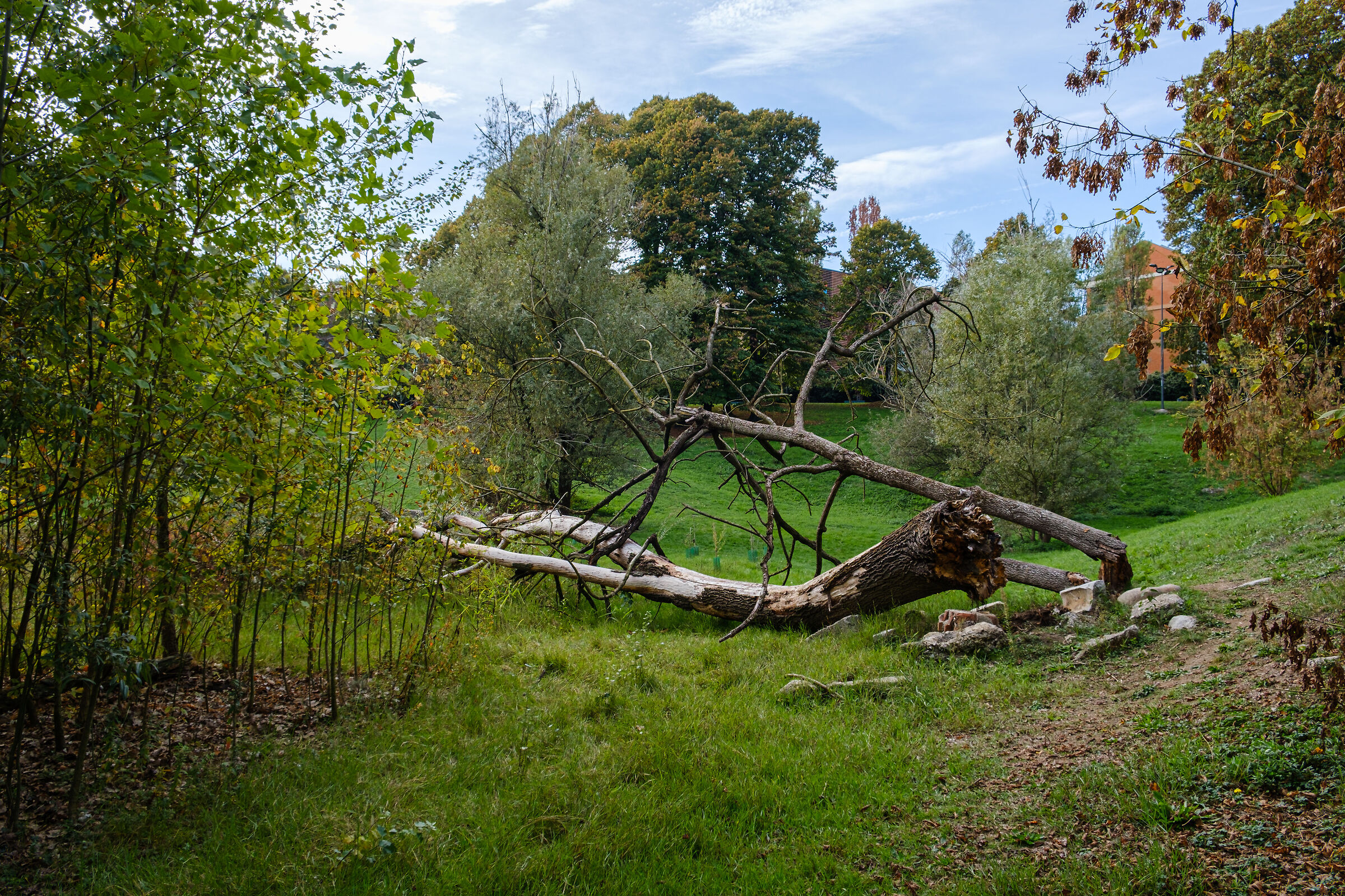 Parco Lambro - Milan