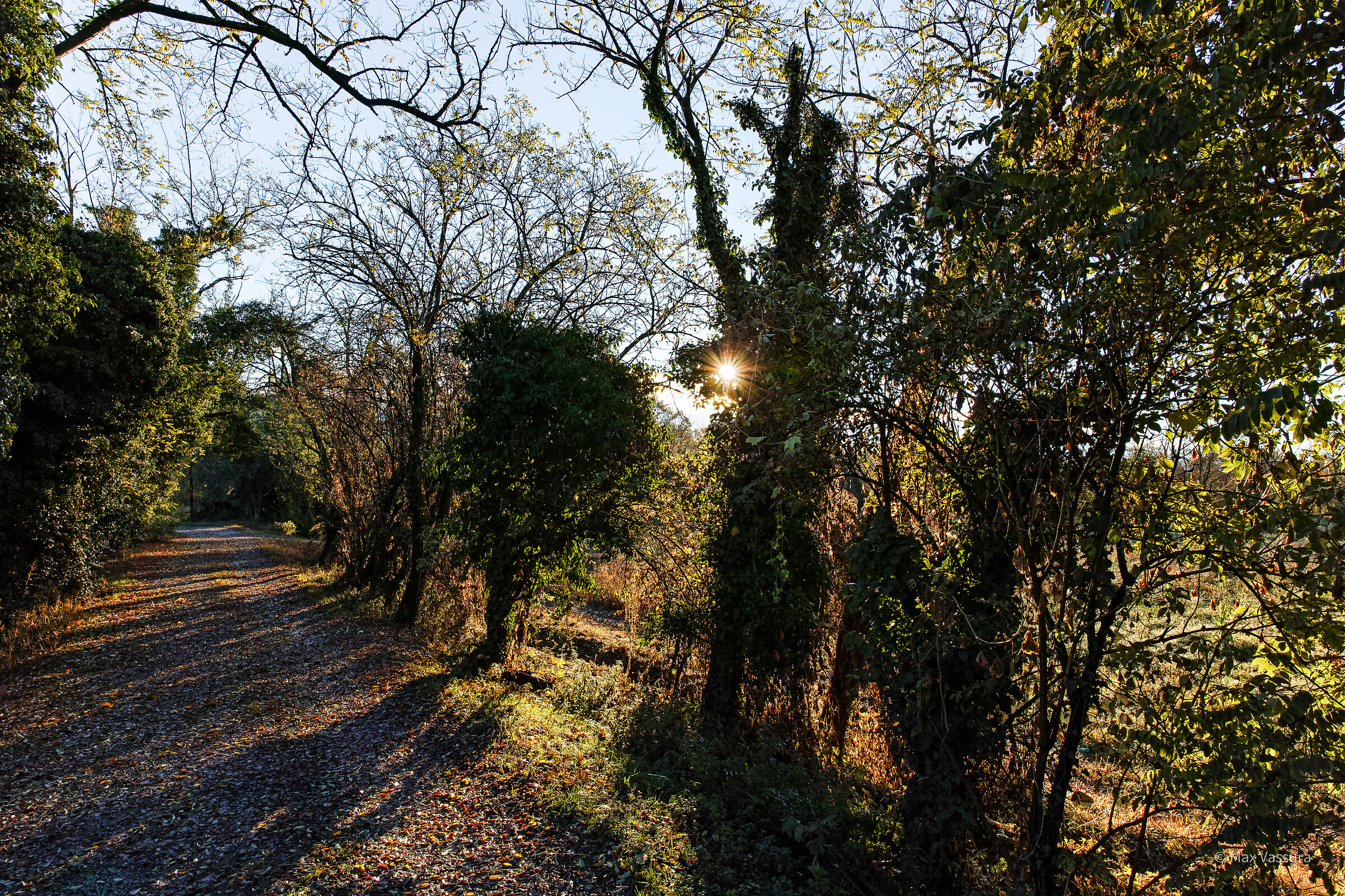 narrow streets along the Adda