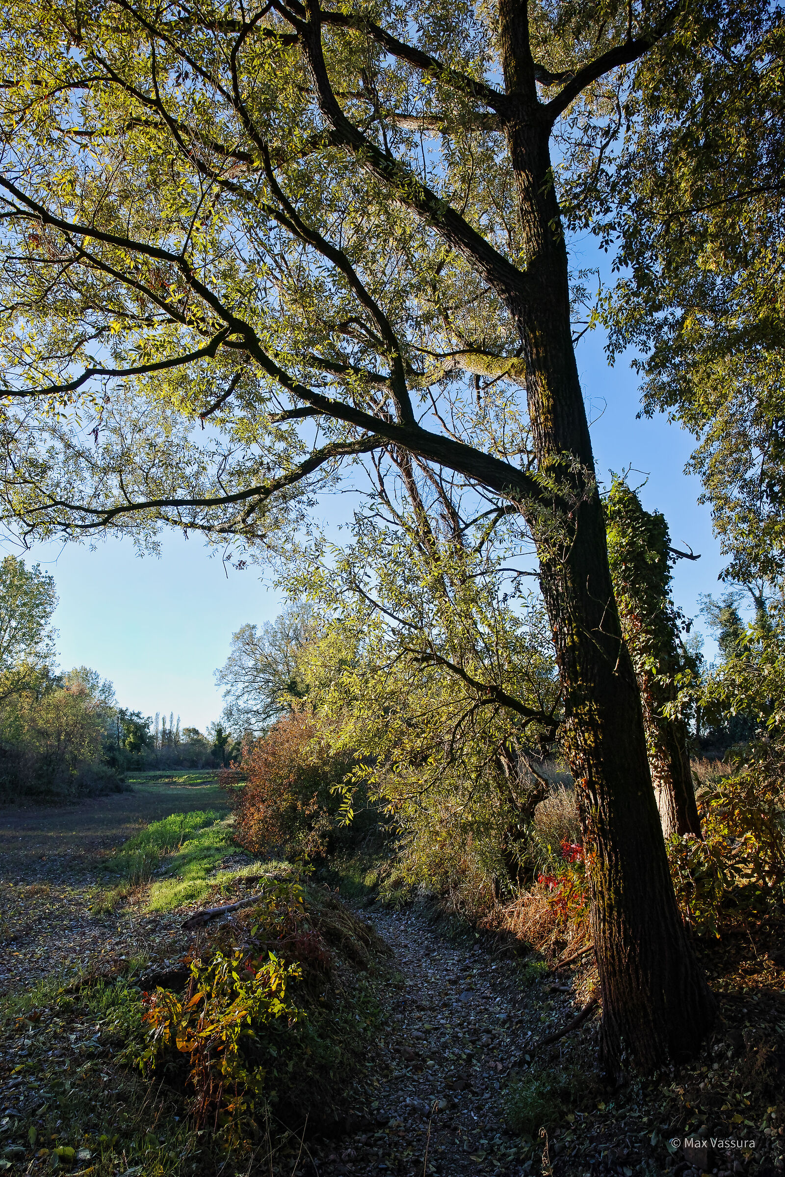 The ditch