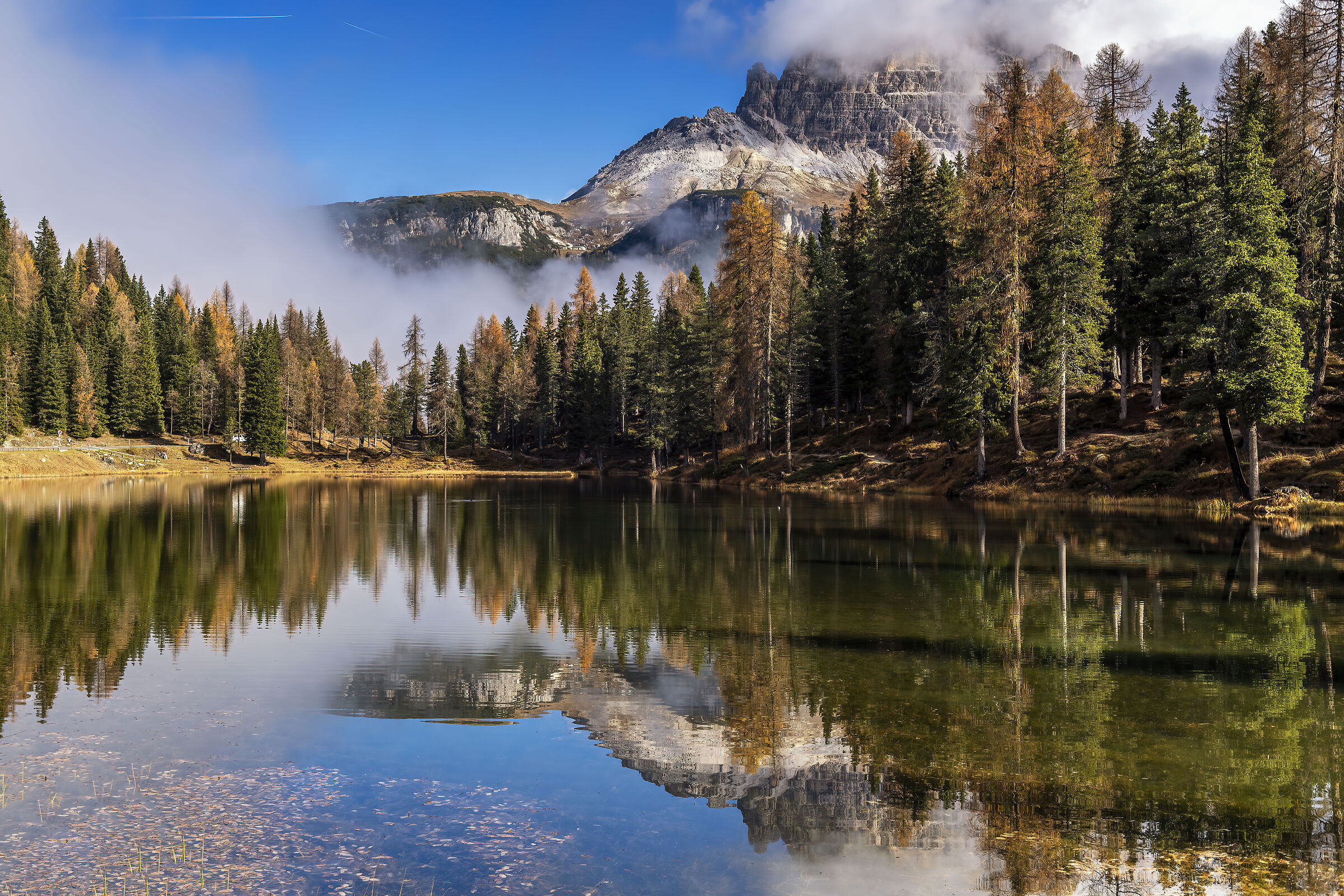 Specchio Specchio delle Brame