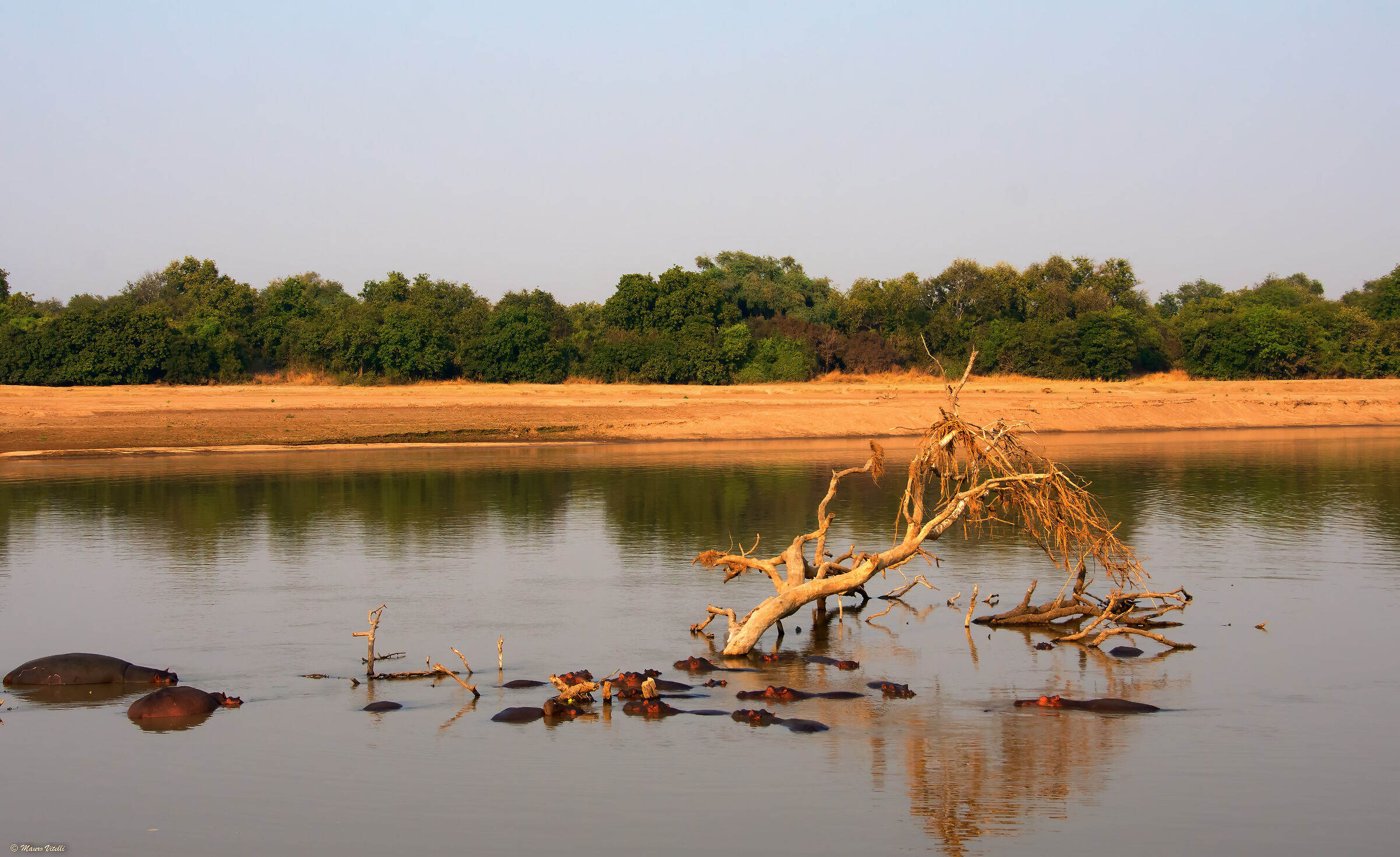 Sunset over the Zambezi River