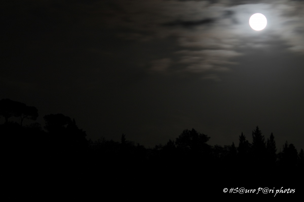 full moon night
