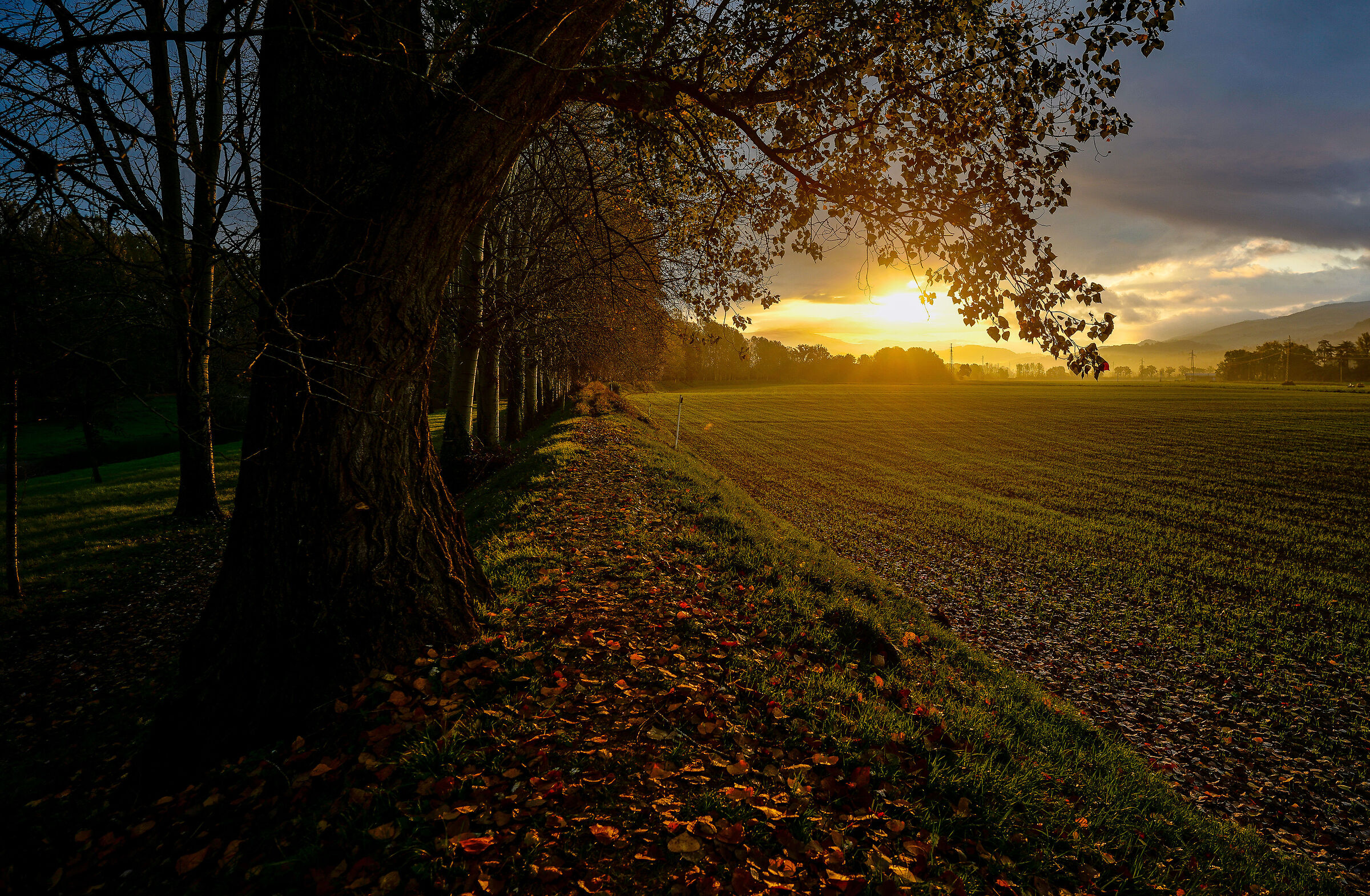 November sunrise
