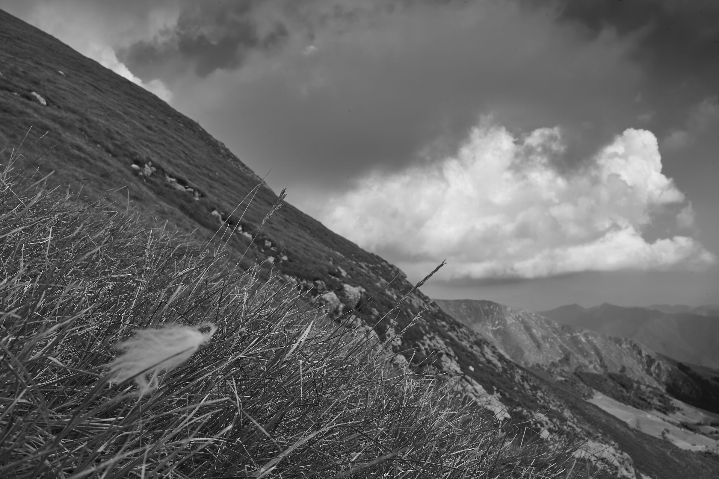 Monte Menna, versante orientale