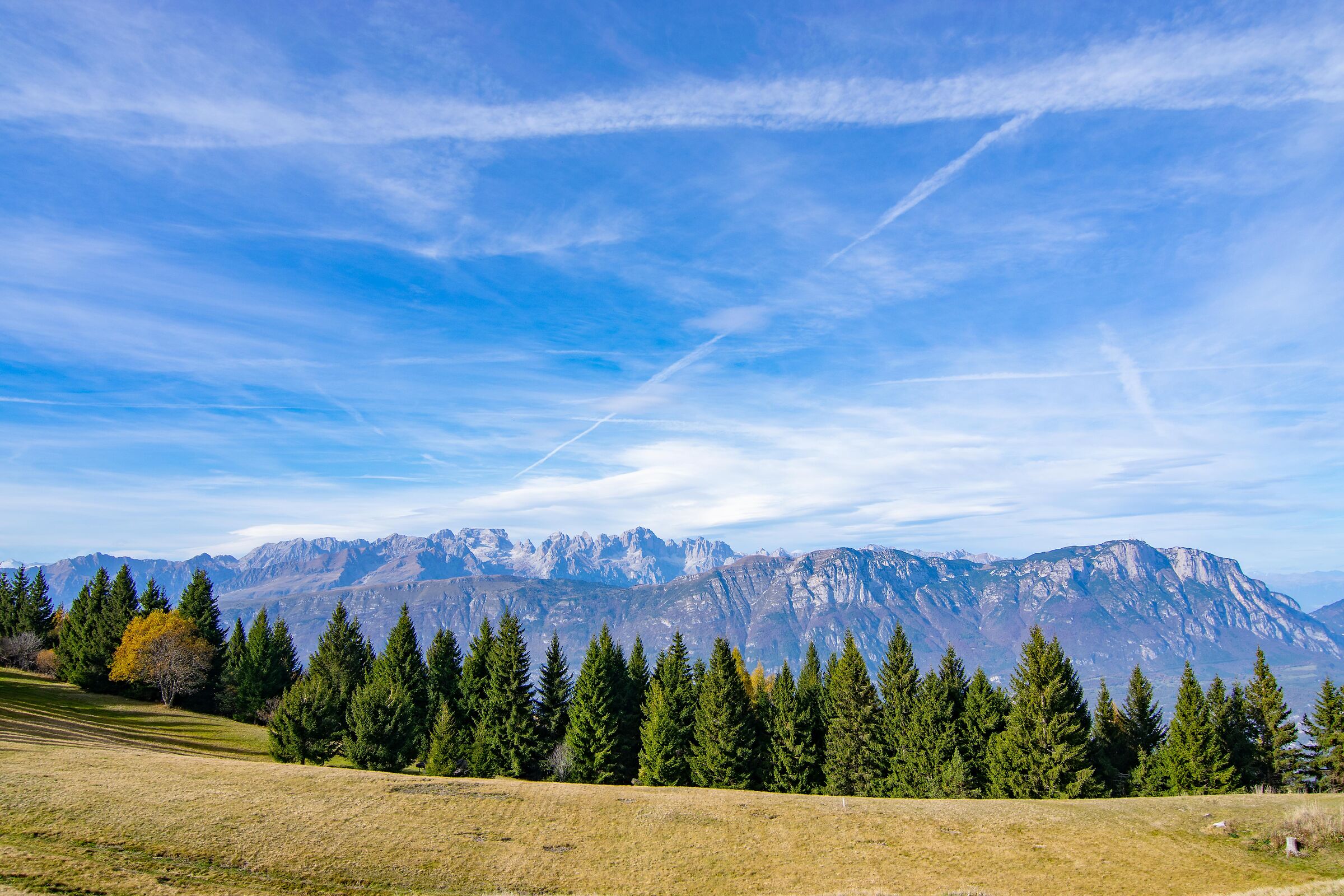 Un quadretto niente male