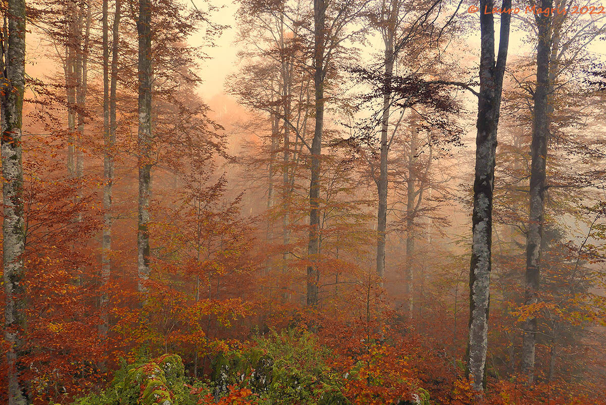 Atmosfera coinvolgente